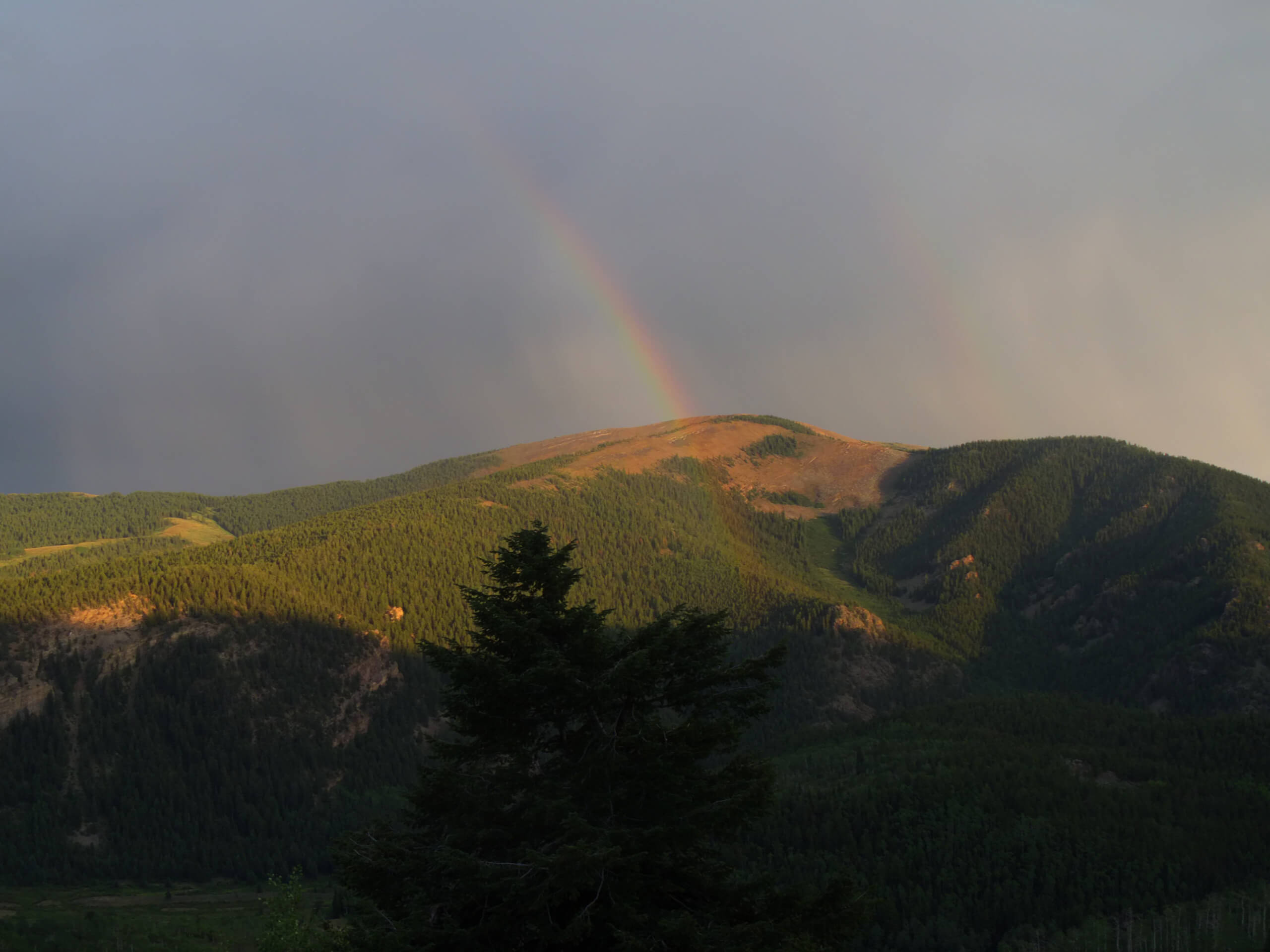 Walrod Loop Trail