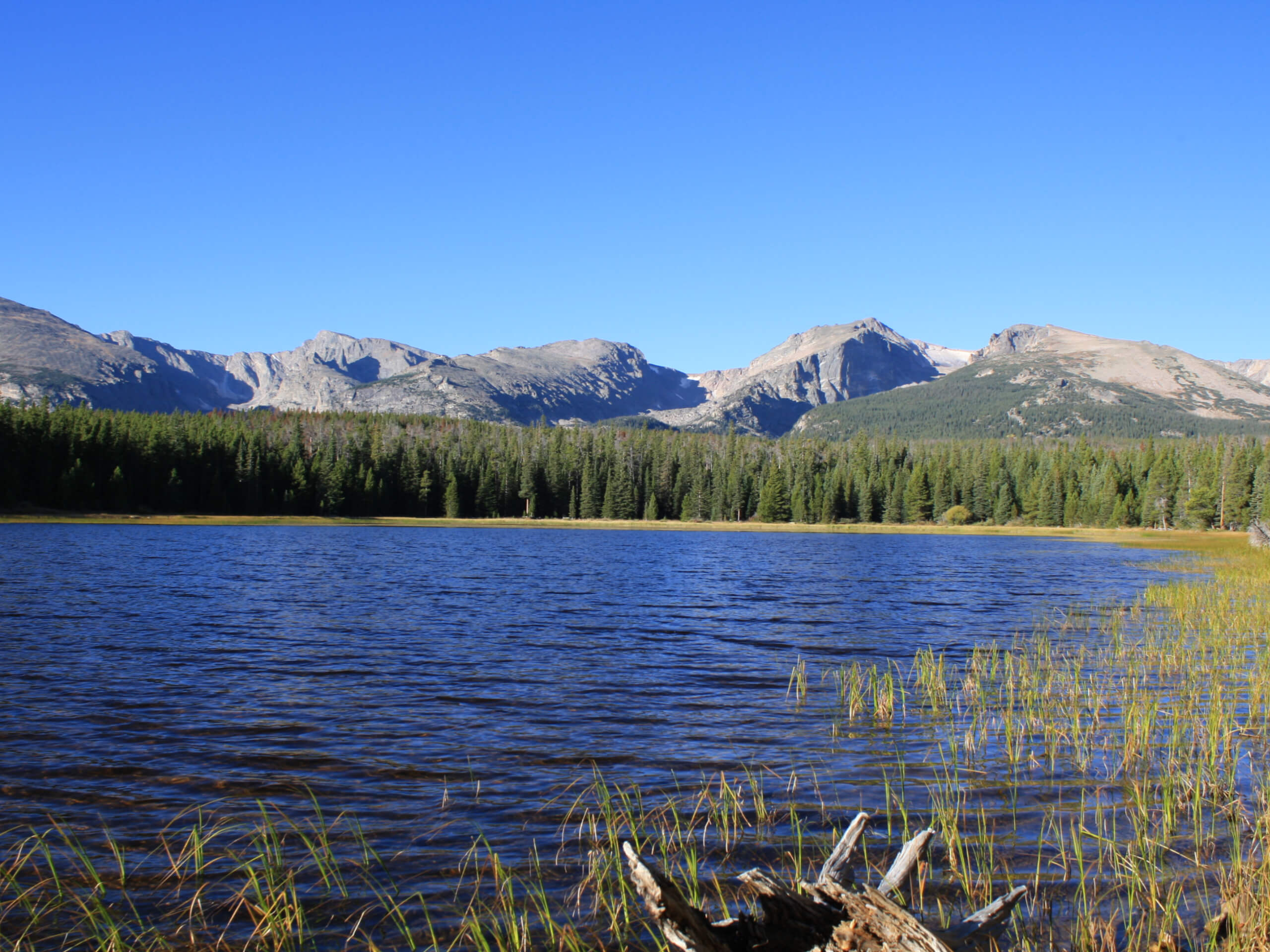 Bear Lake to Bierstadt Lake Trail