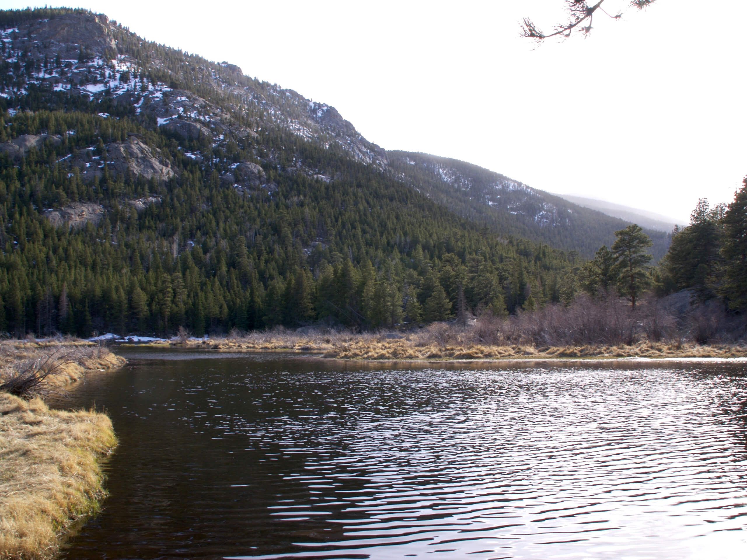 Beaver Ponds Trail