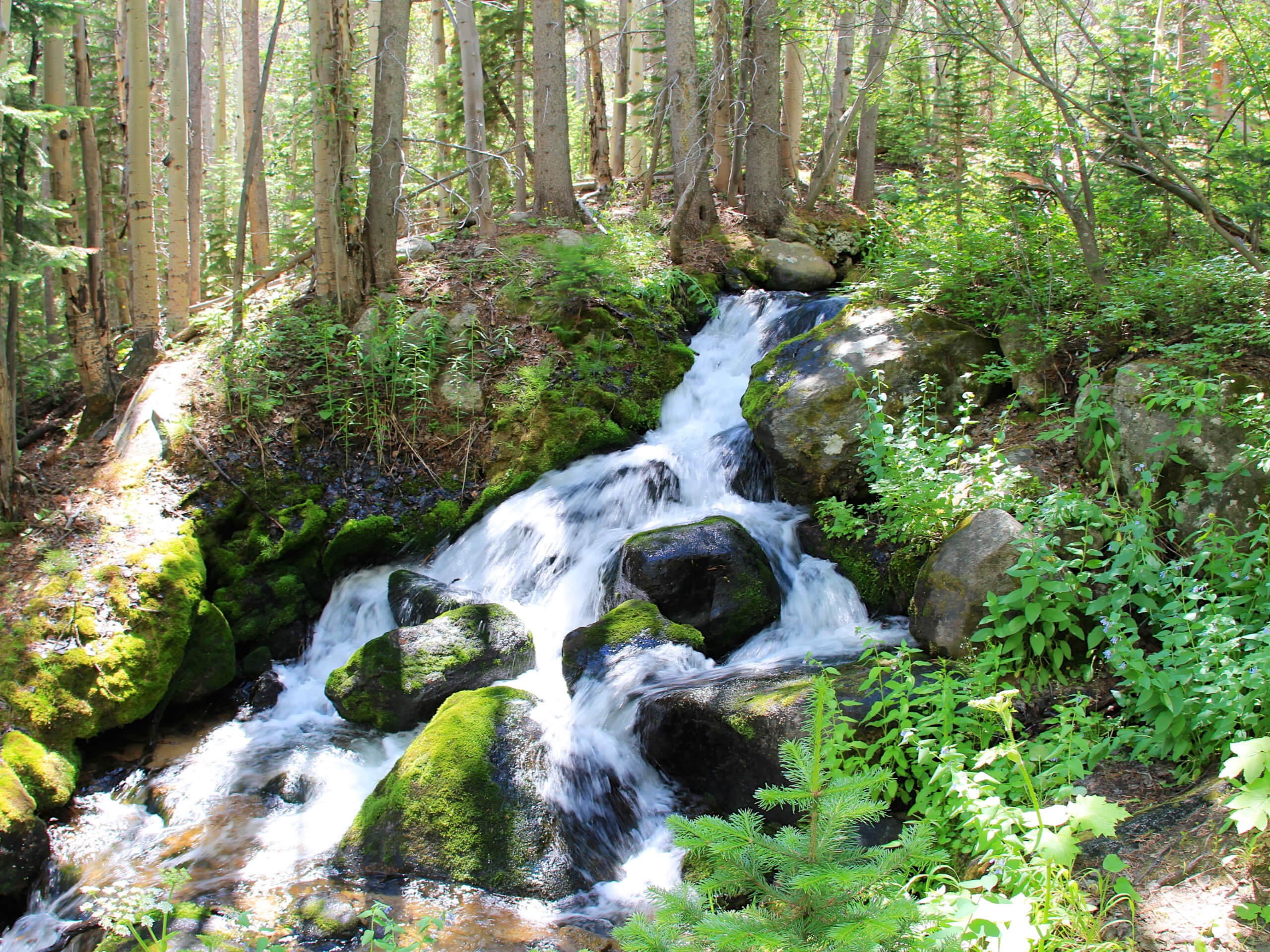 Boulder Brook Loop Trail