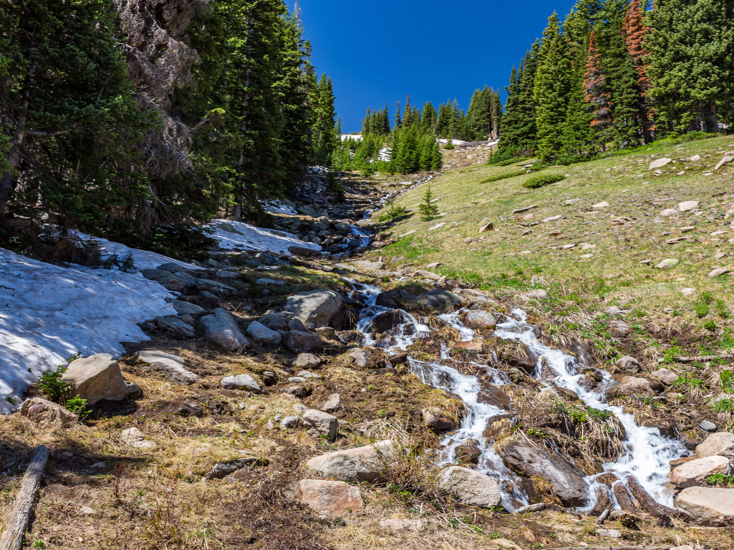 Hidden Valley Trail