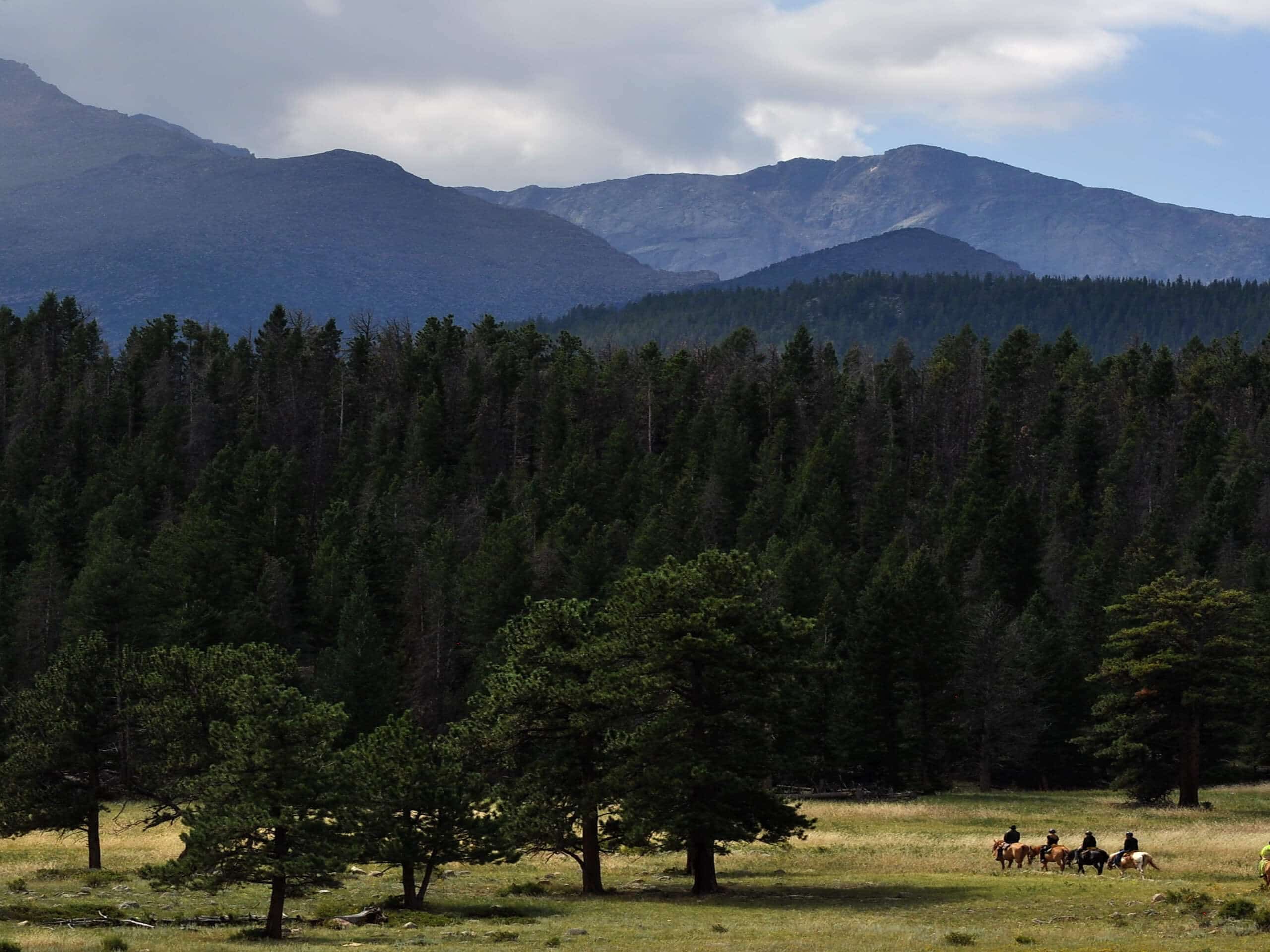 Upper Beaver Meadows Trail