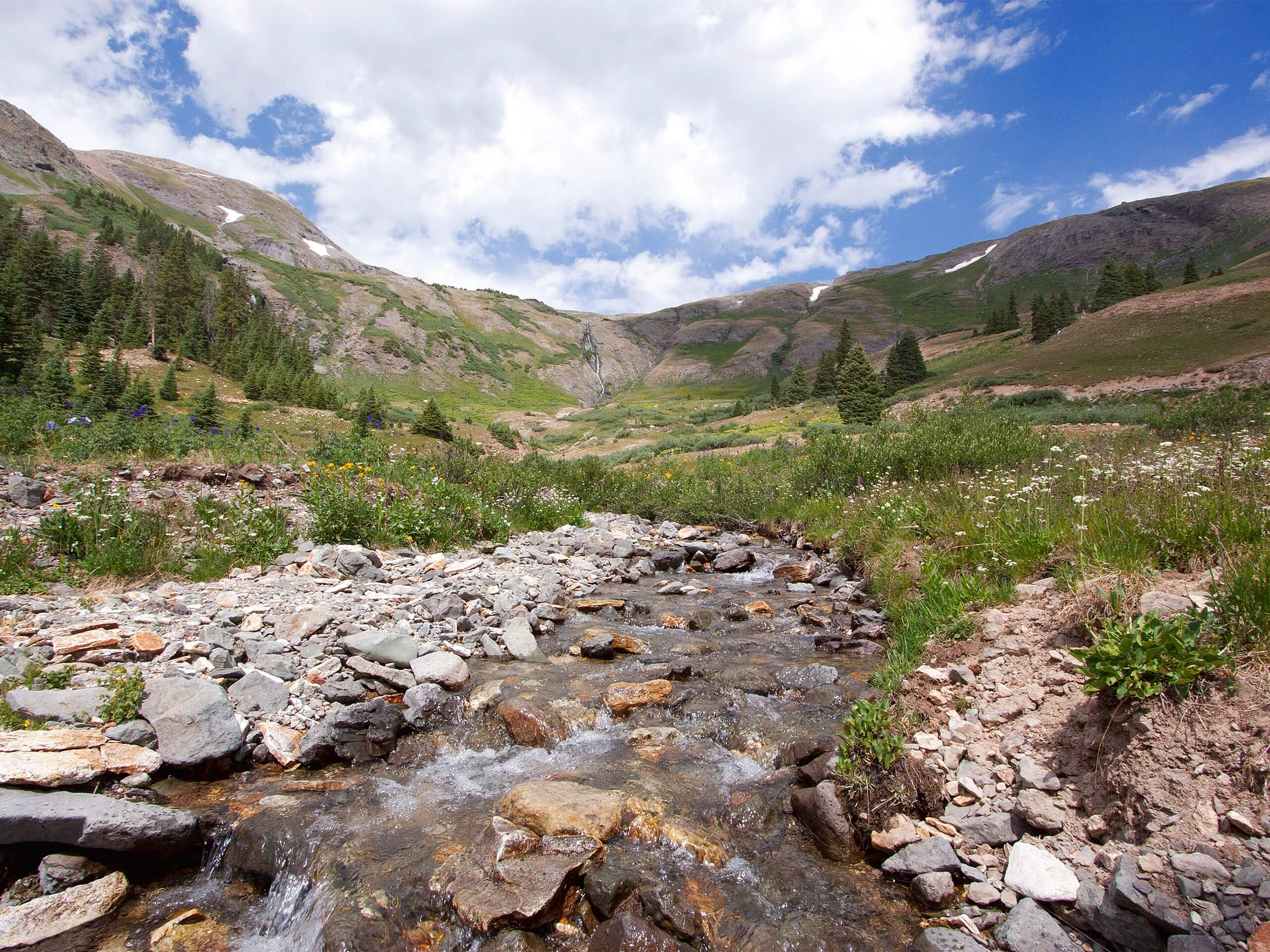 Black Bear Pass Trail