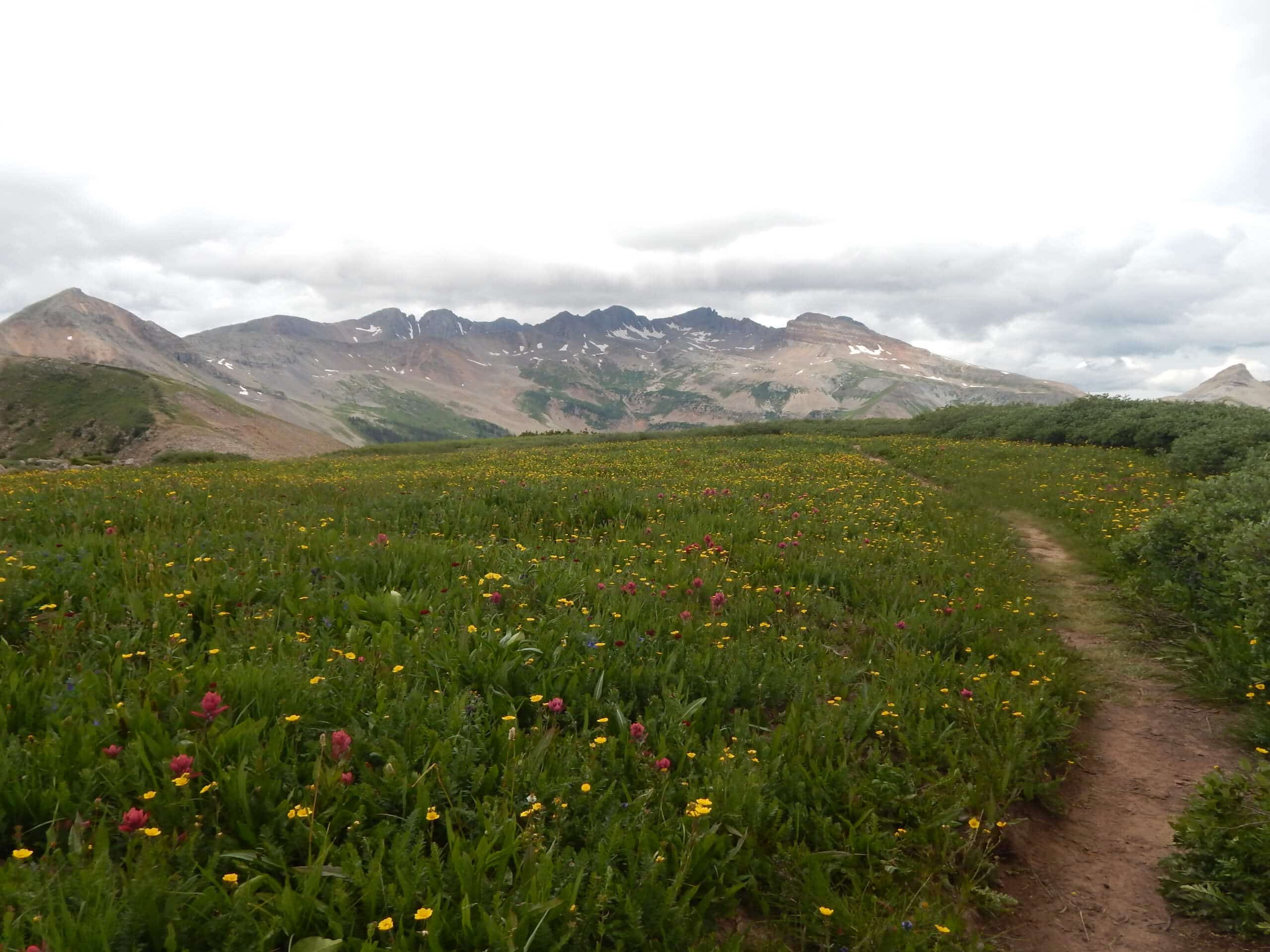 Colorado Trail to Gudy’s Rest