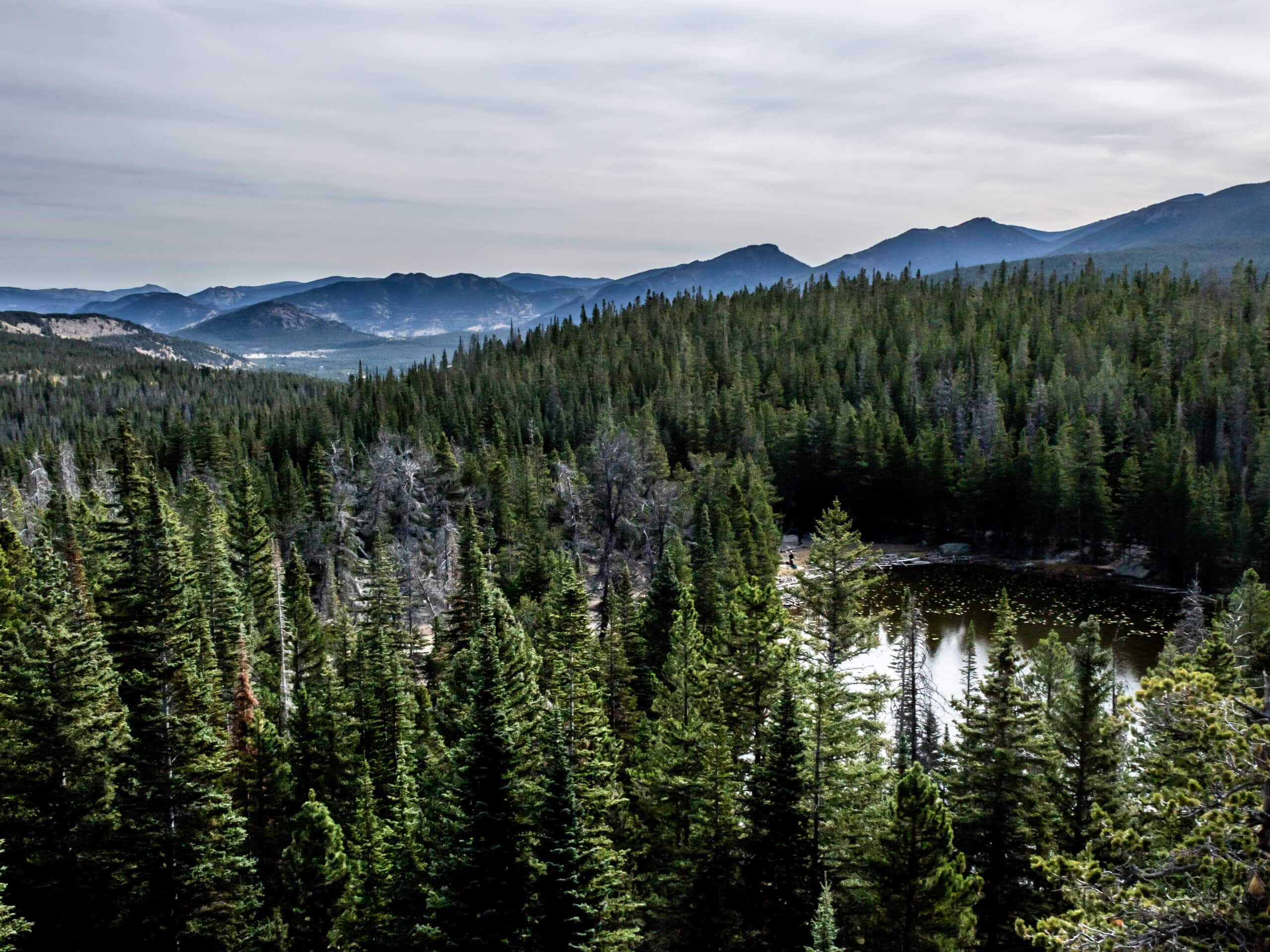 Duck Lake Trail