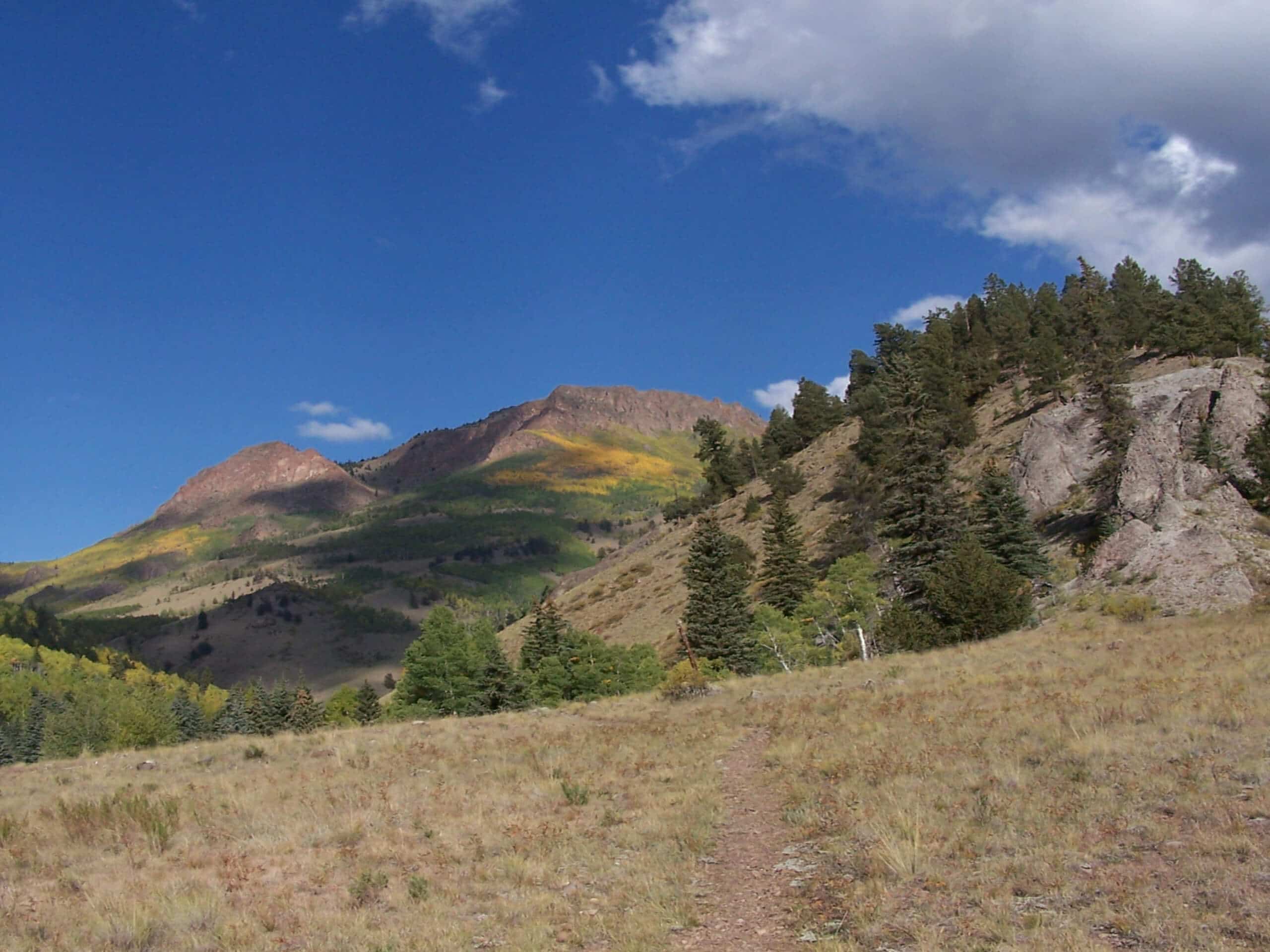 Shallow Creek Trail #897