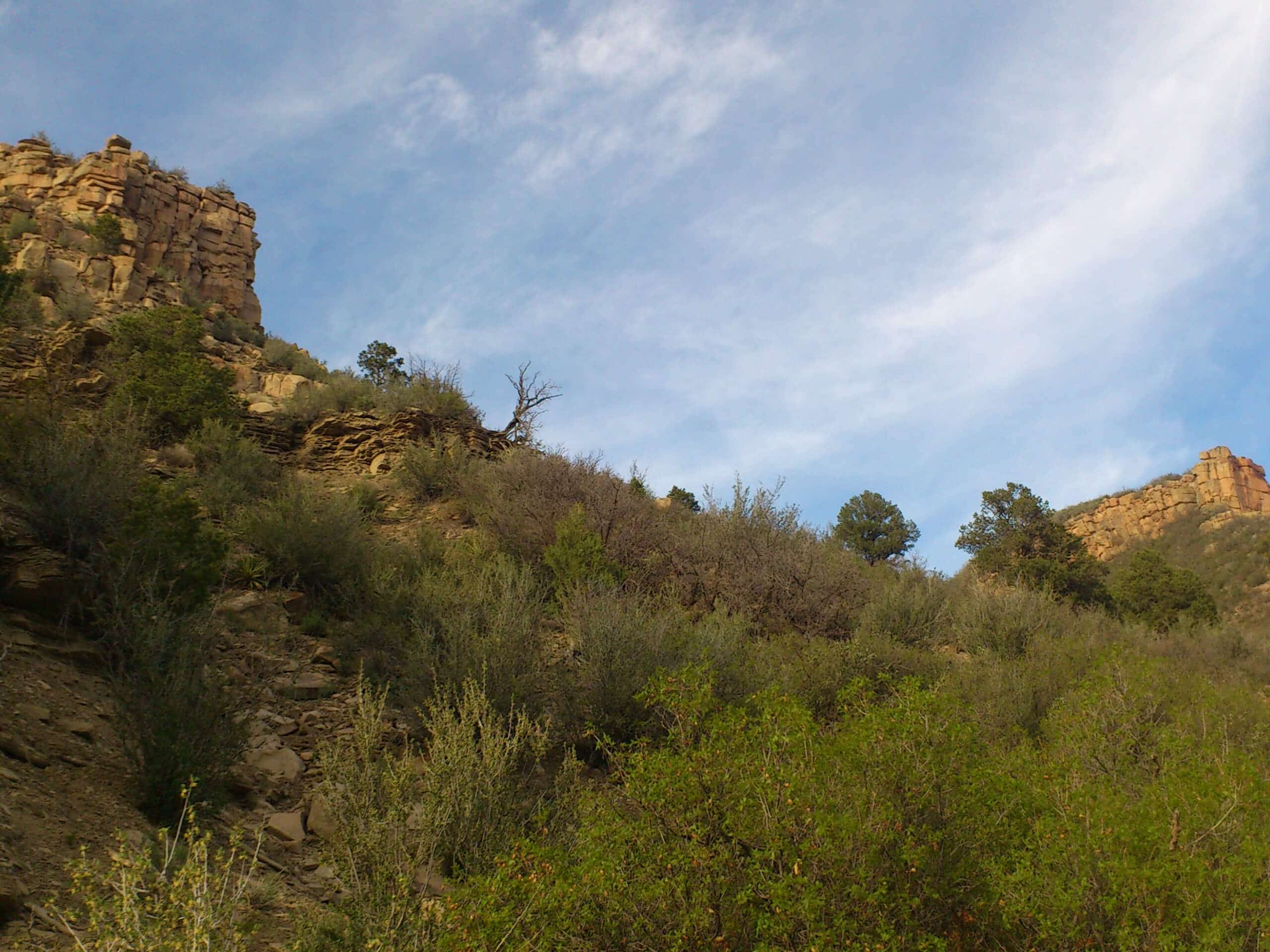 Twin Buttes and Lightner Creek Loop Trail