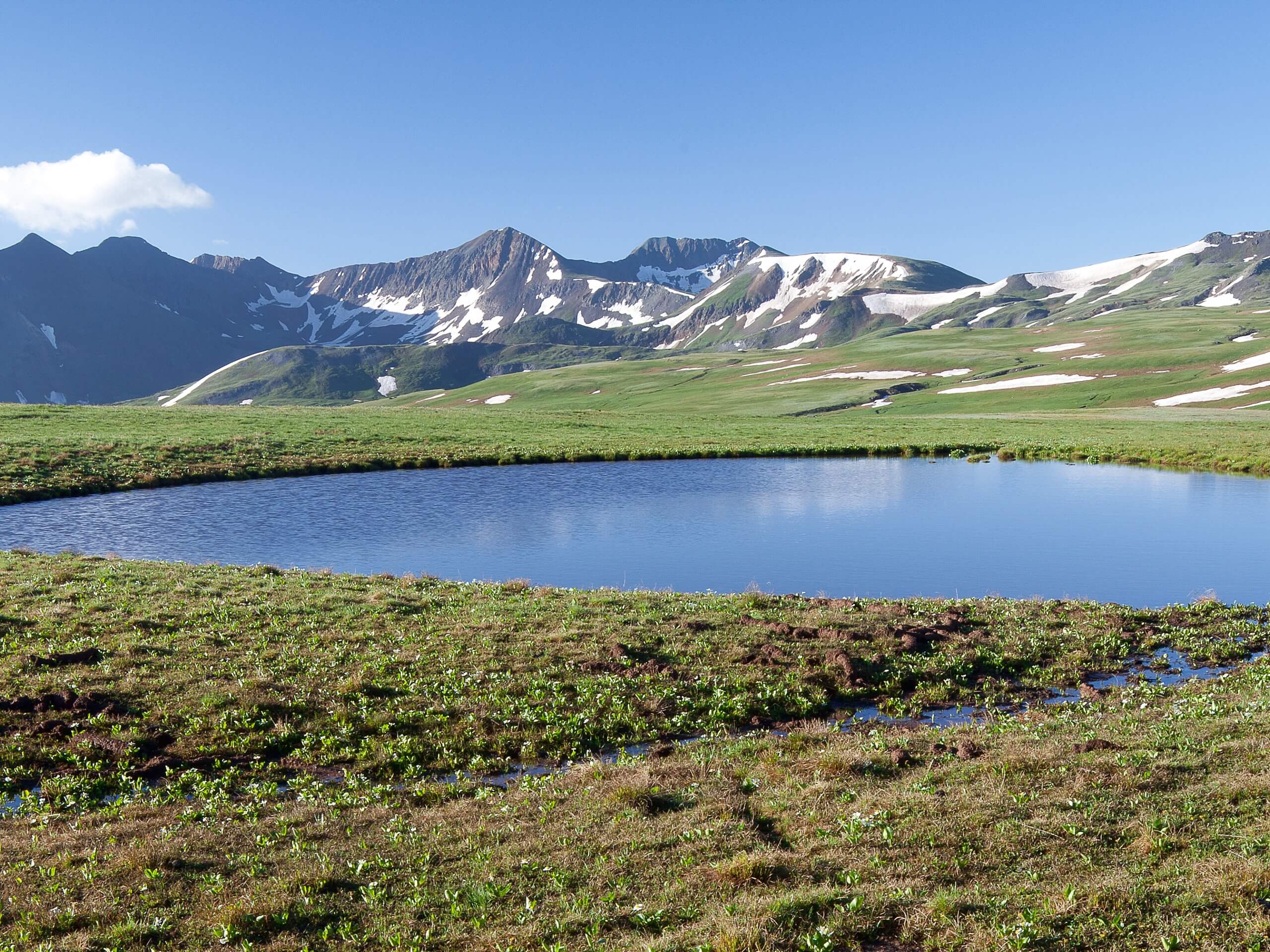 Uncompahgre Peak Hike