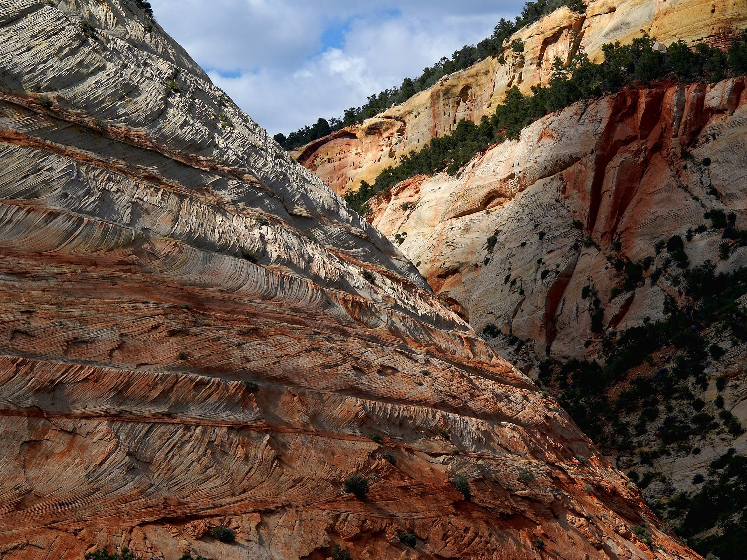 Checkerboard Mesa Canyon Trail