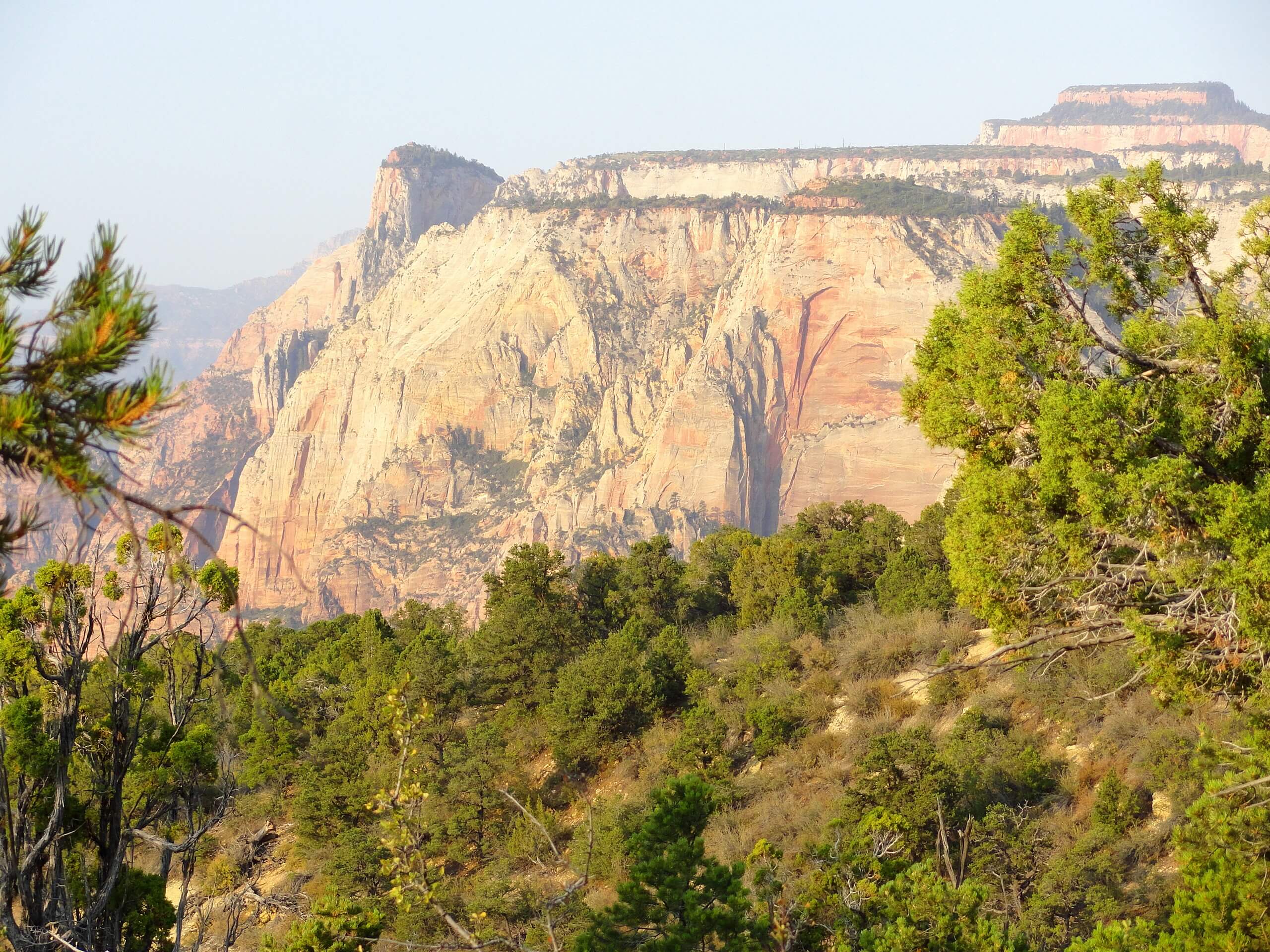 The East Mesa Trail