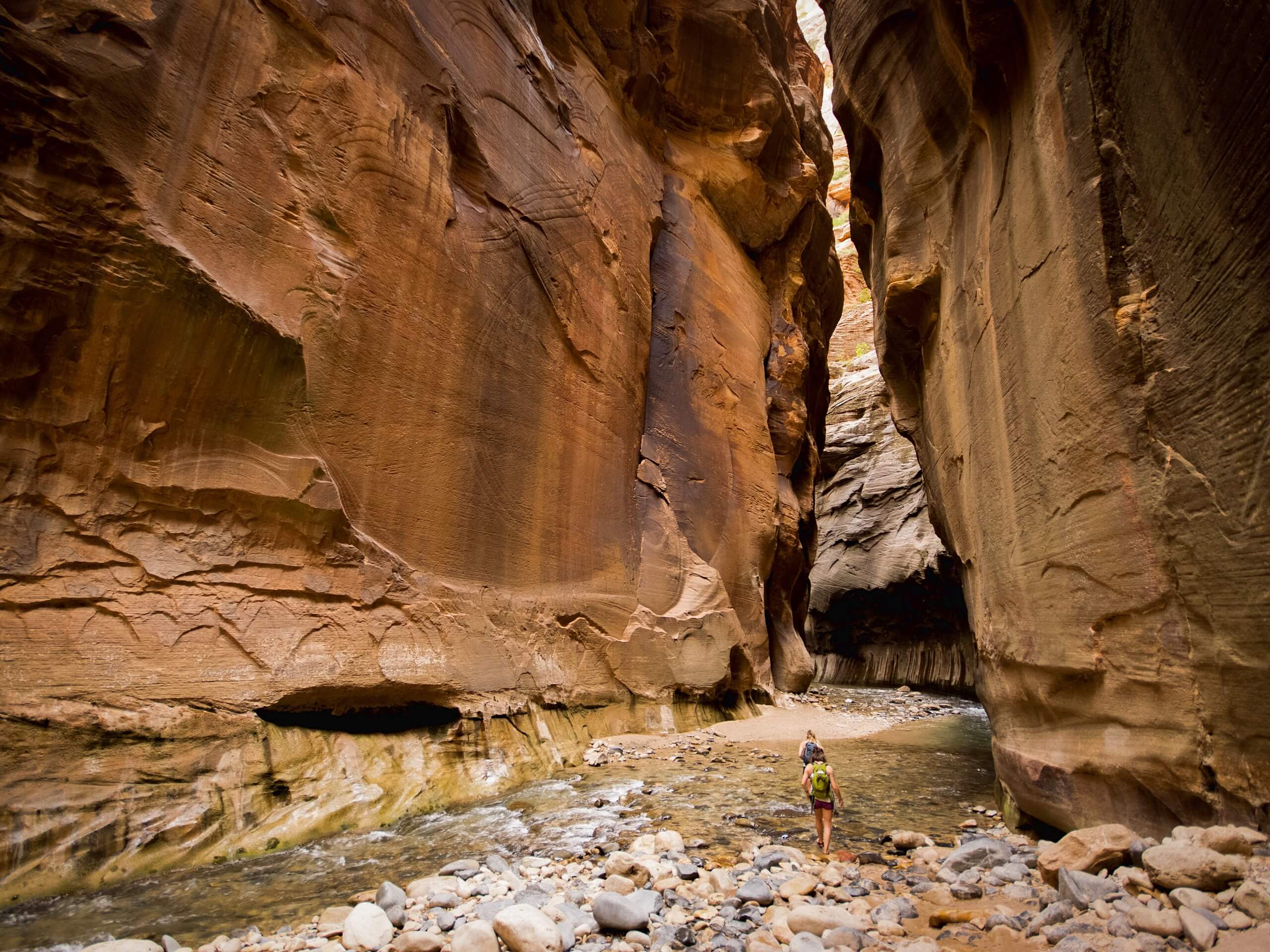 Zion Narrows: Bottom up to Big Springs