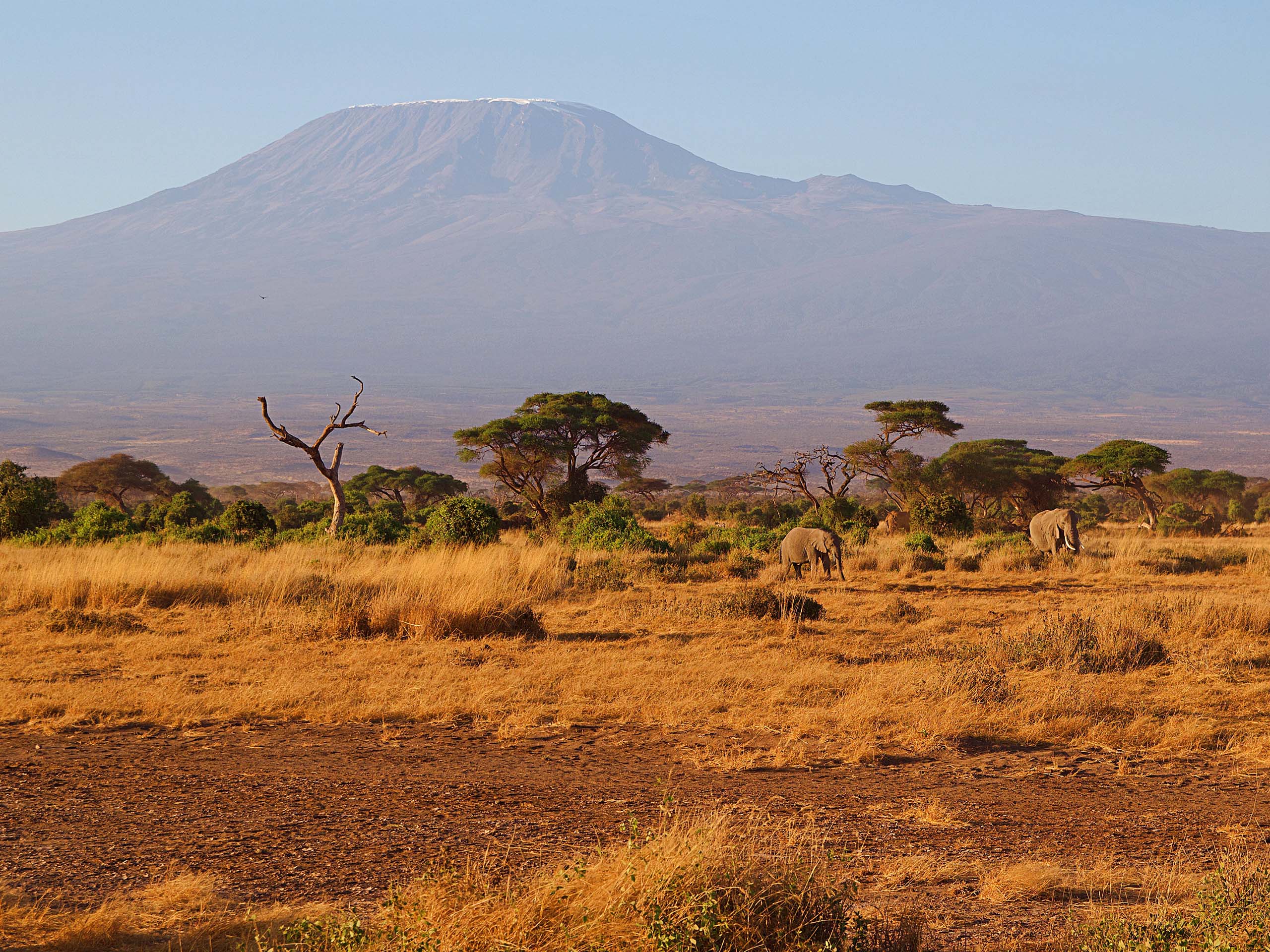 The ideal time to plan your Kilimanjaro adventure is between January and March