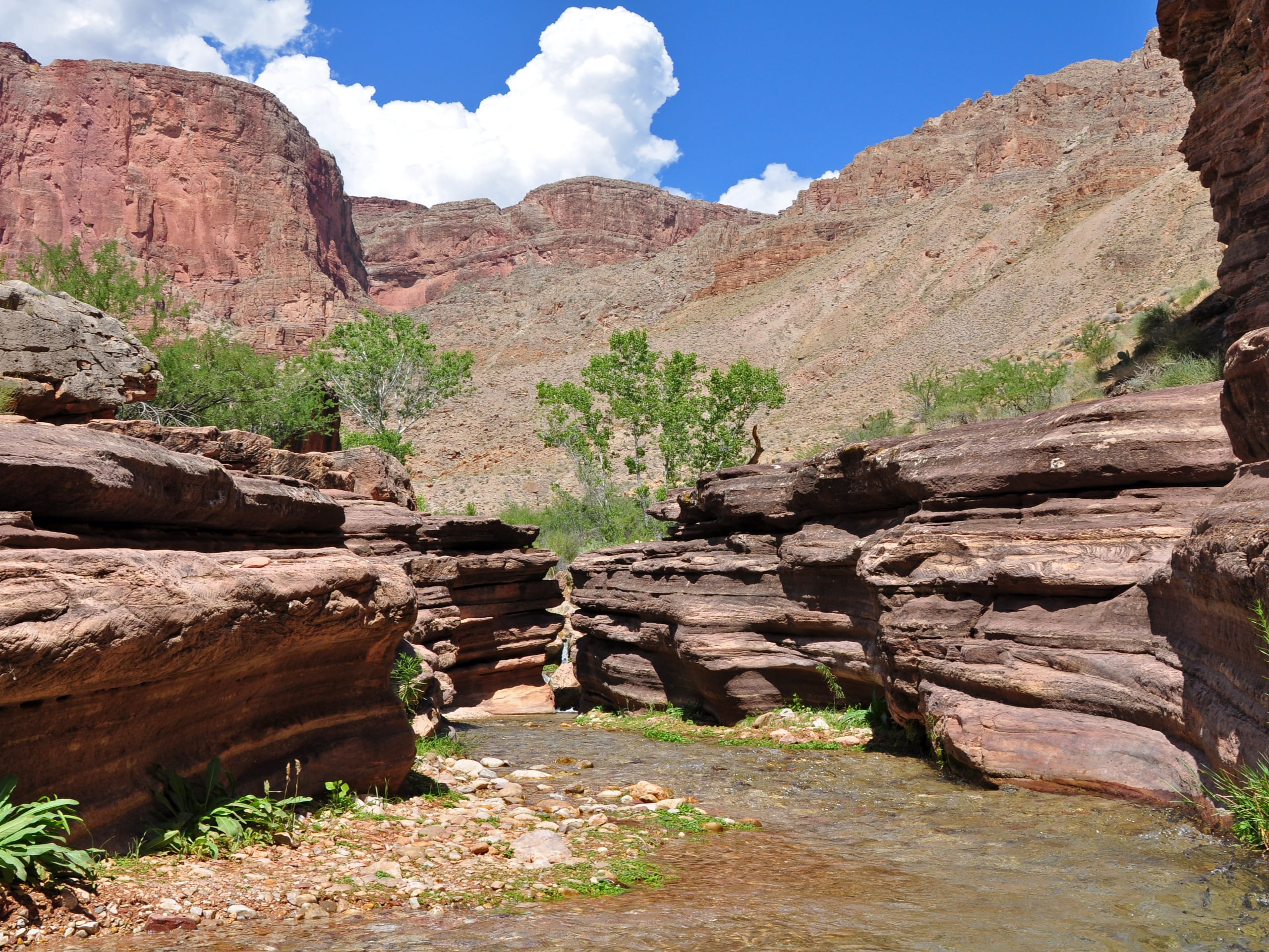 Deer Creek to Colorado River Hike