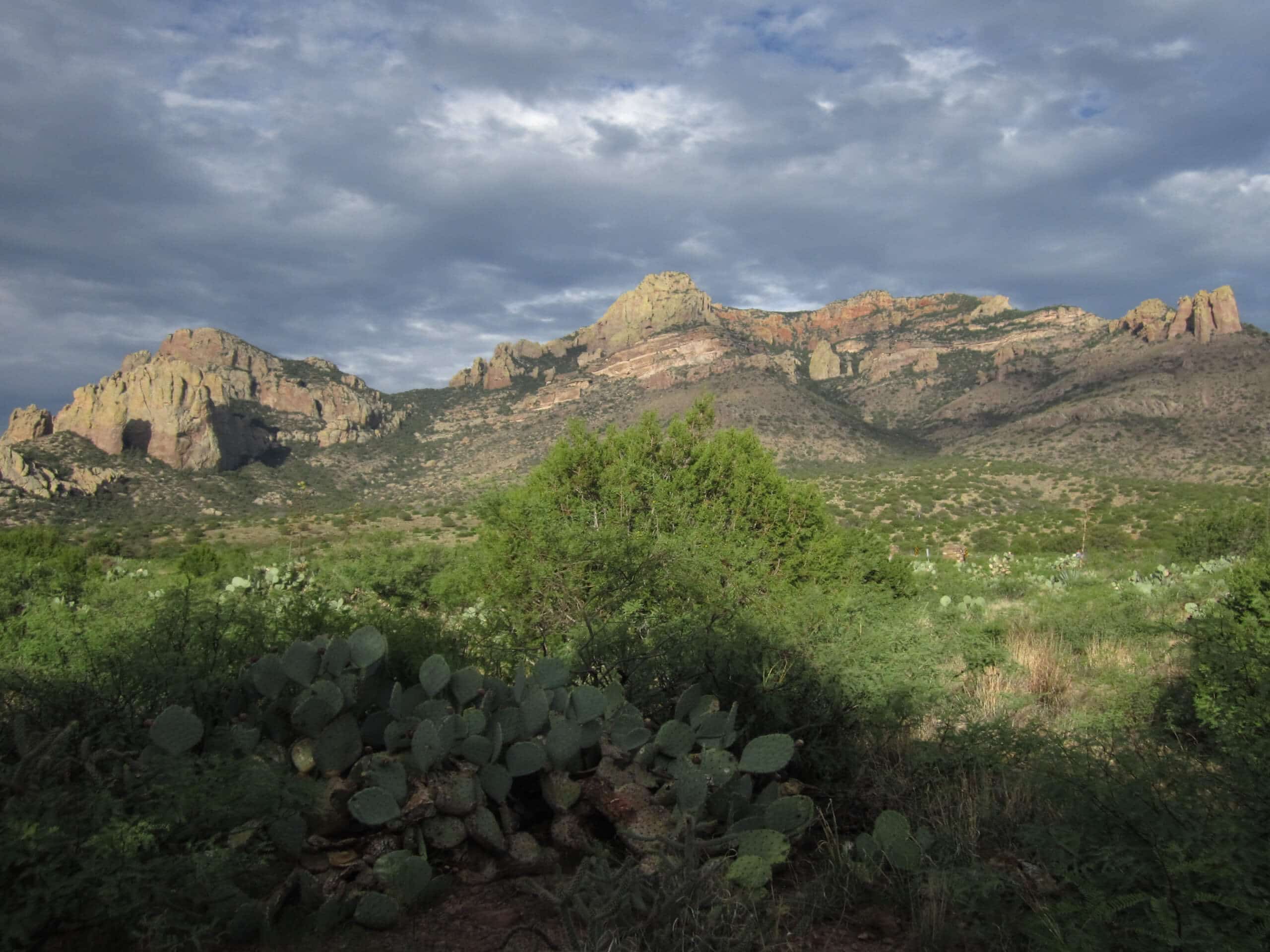 Cave Creek and Skunk Creek Loop