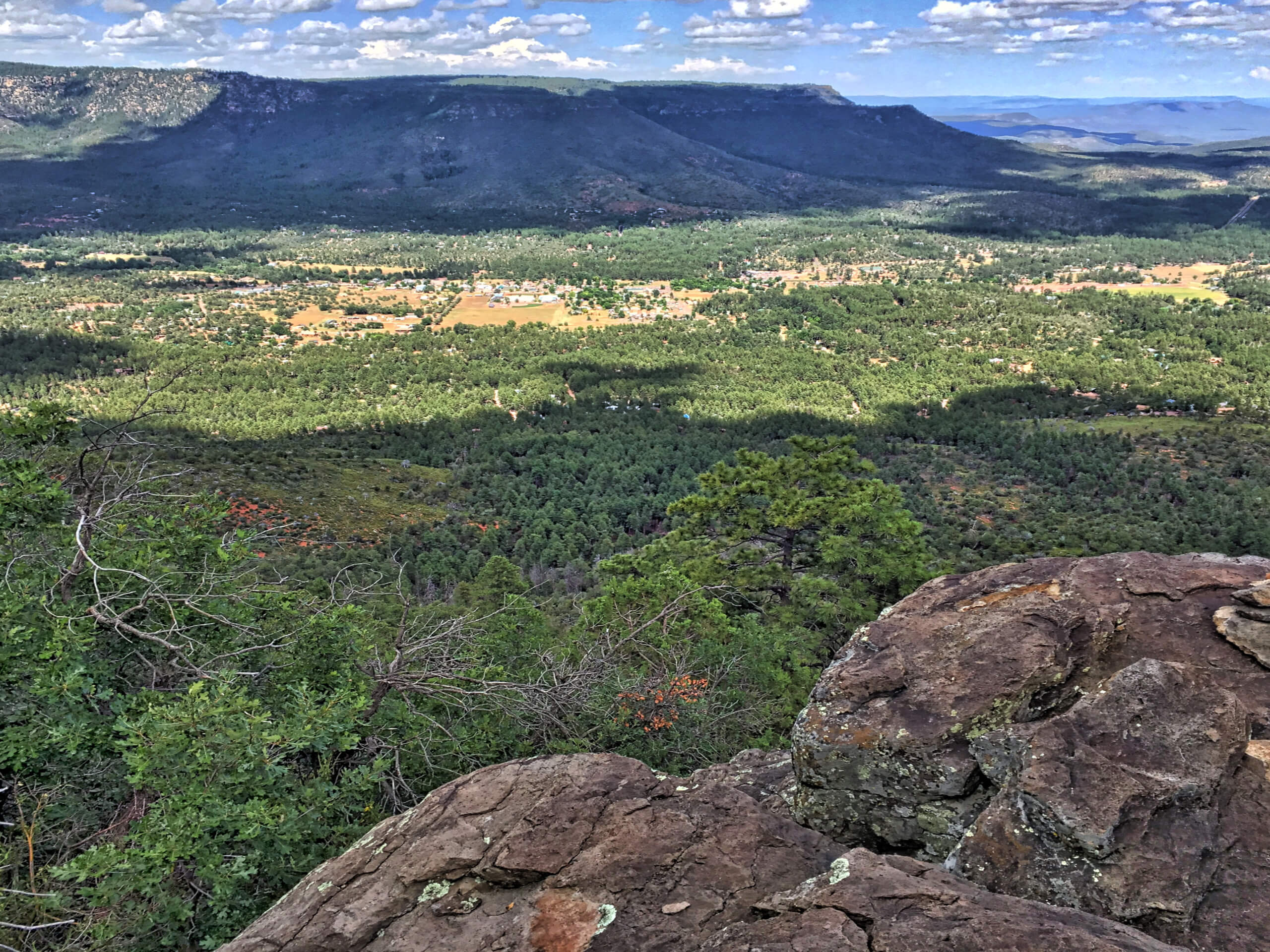 Pine Loop Trail