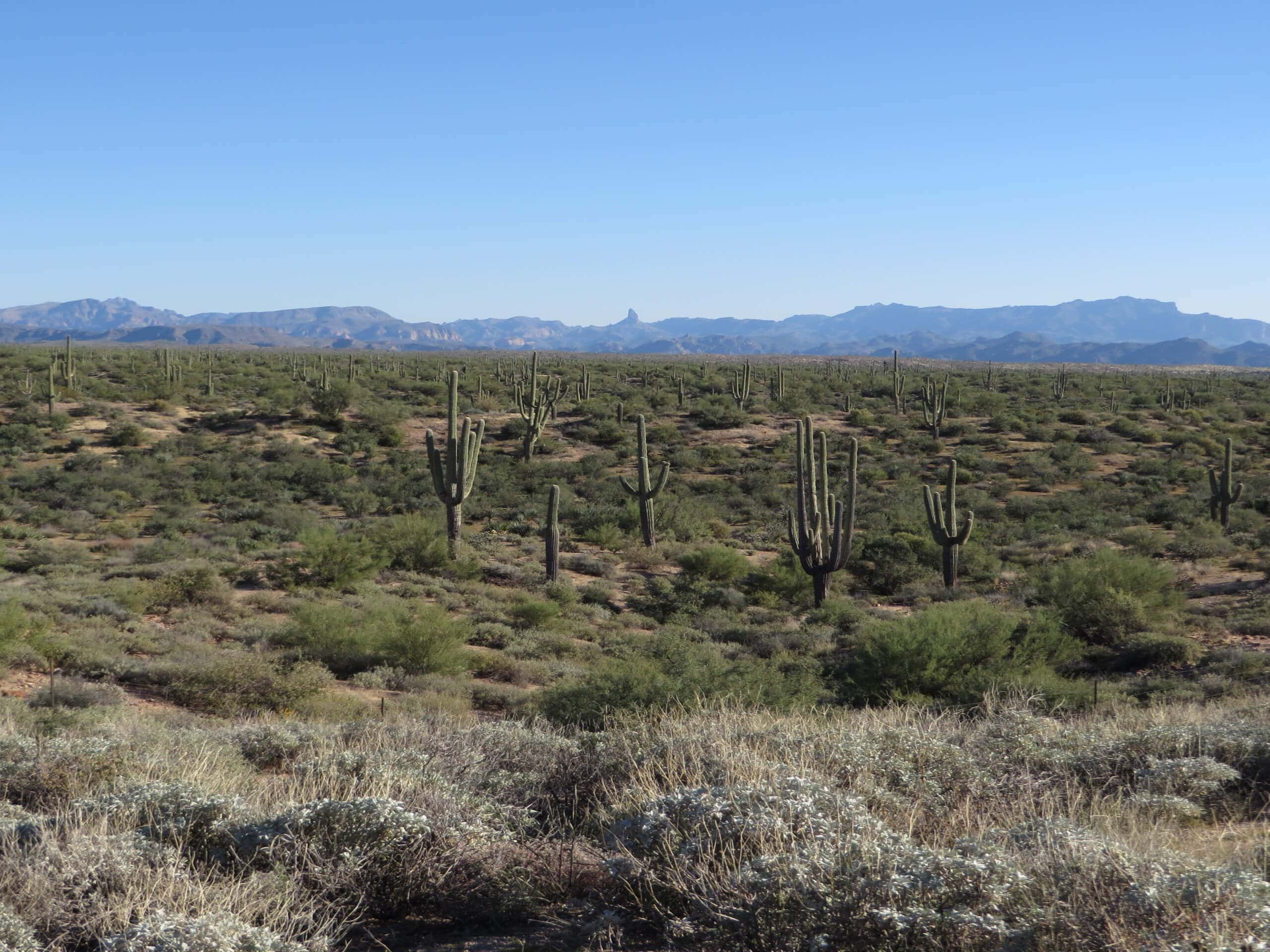 Pass Mountain Saddle Hike