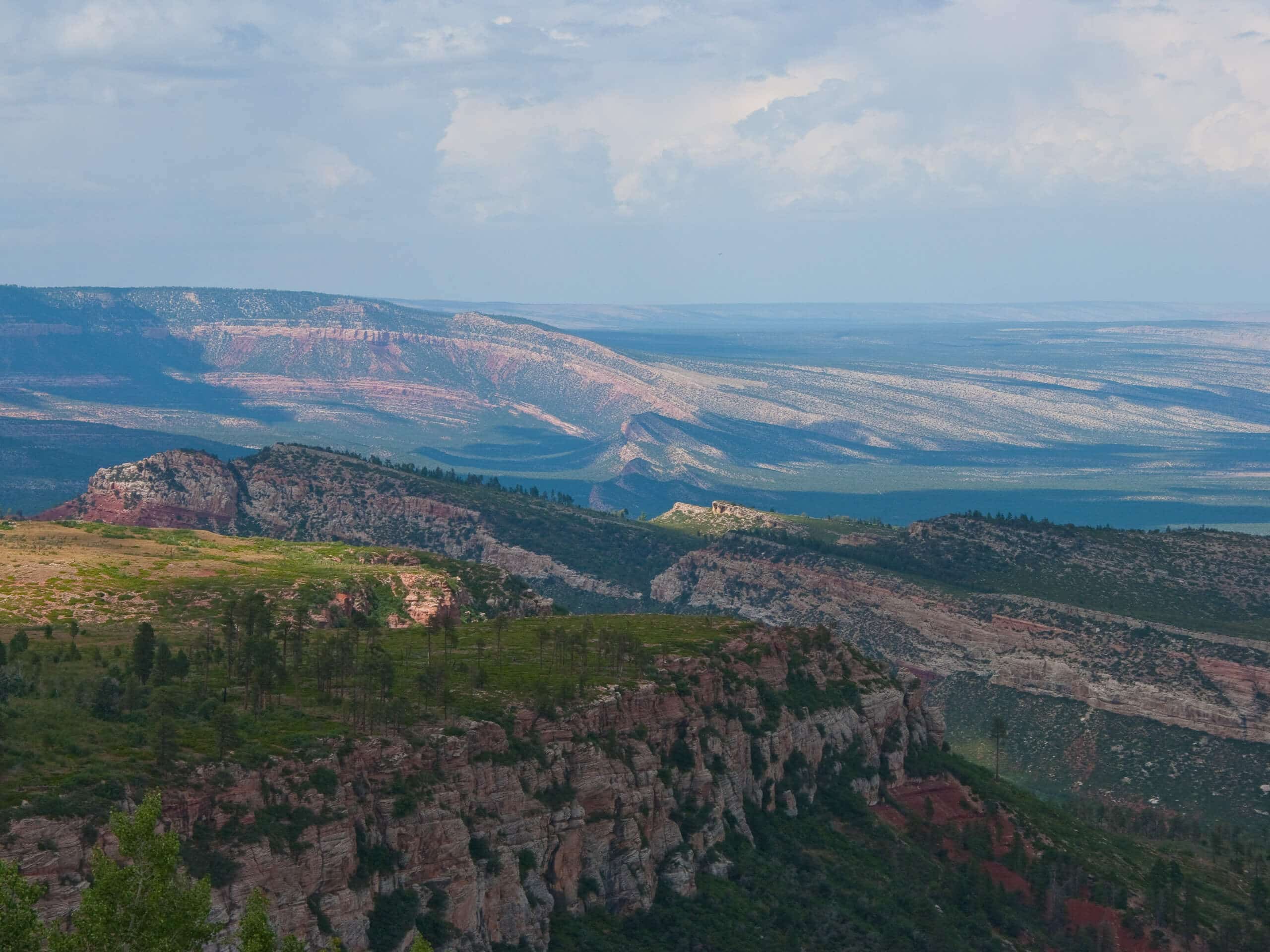 Saddle Mountain to Mormon Grove