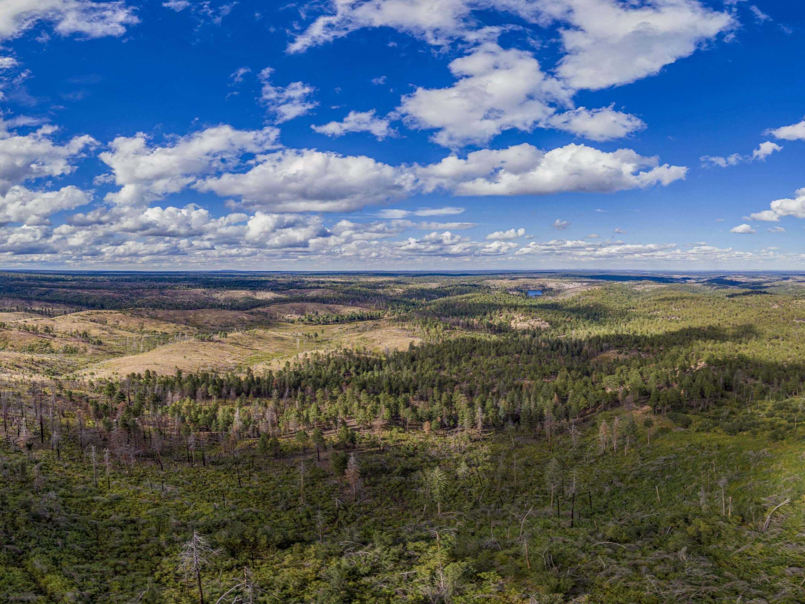 Wild Horse Trail