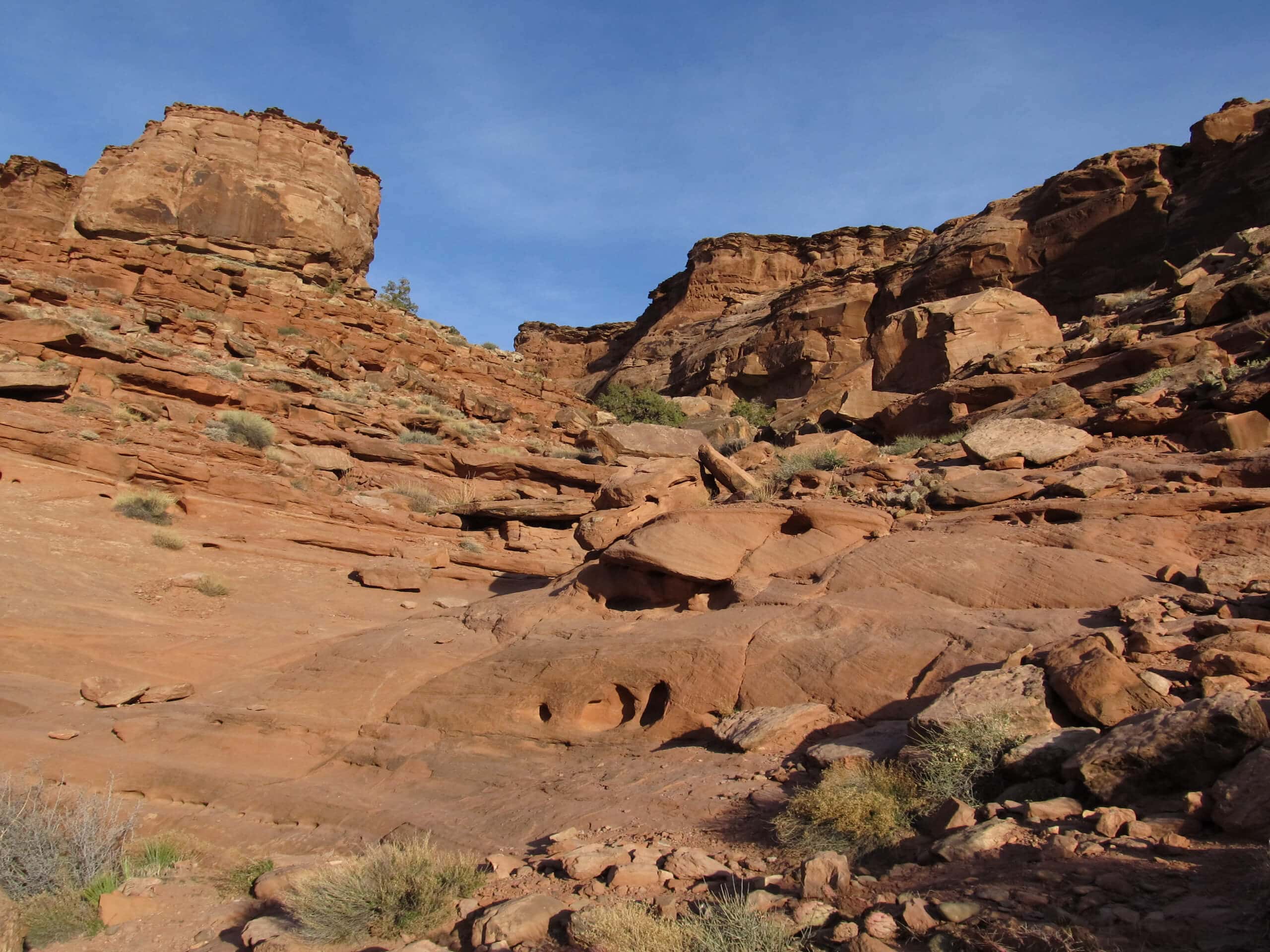 Copper Ridge Dinosaur Tracks Trail