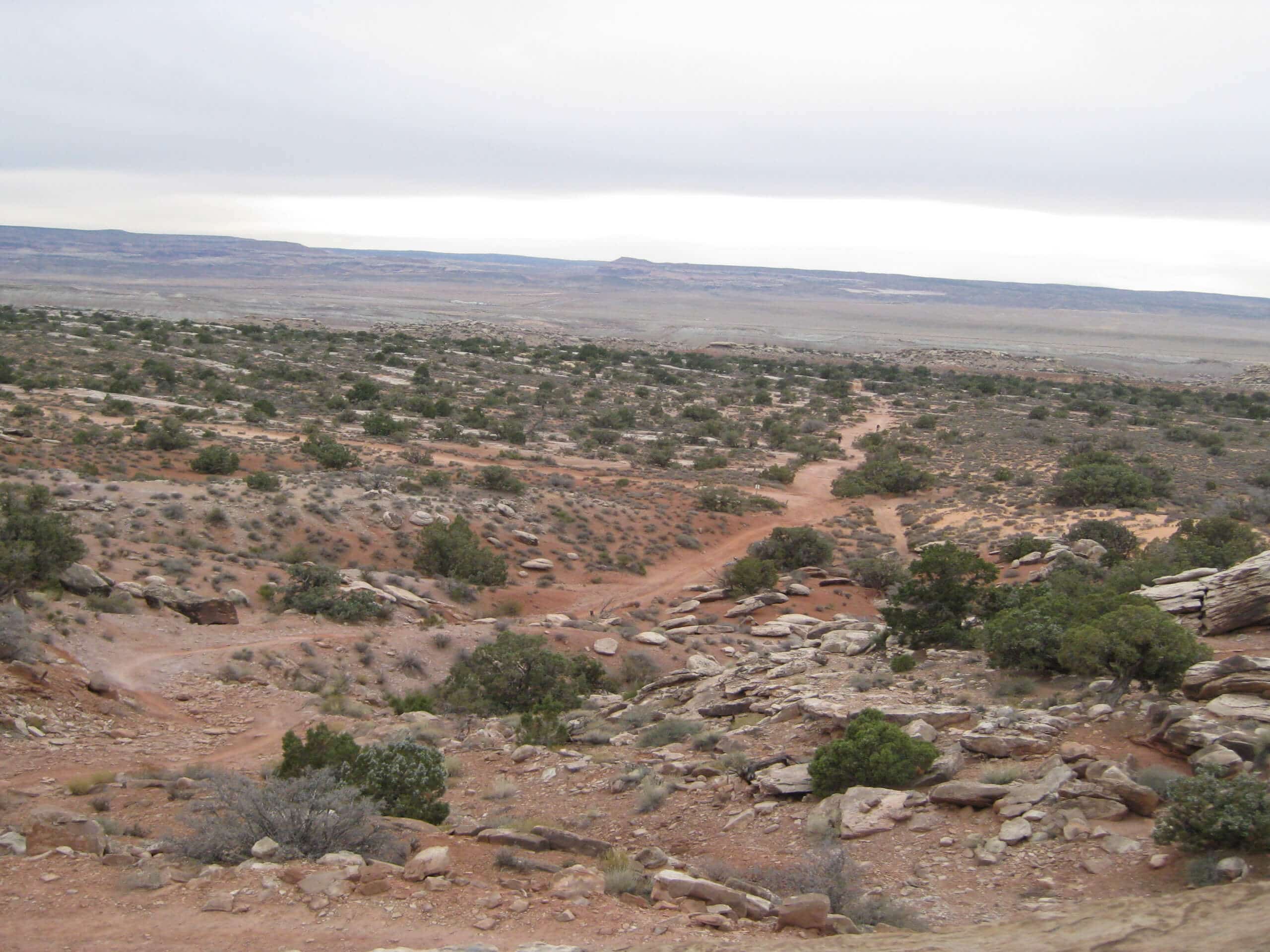 Dinosaur Stomping Ground Trail