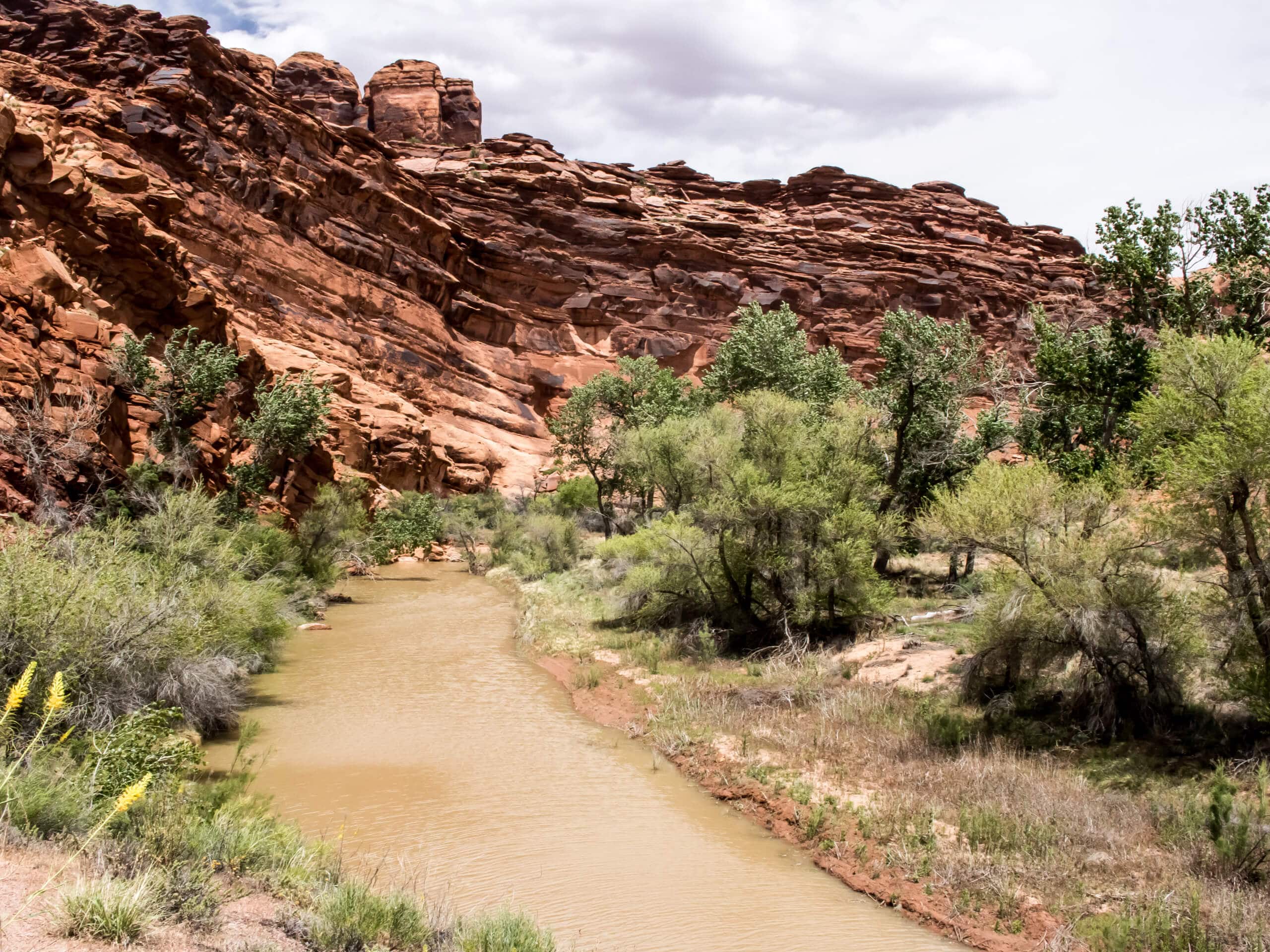 Lower Courthouse Wash Trail