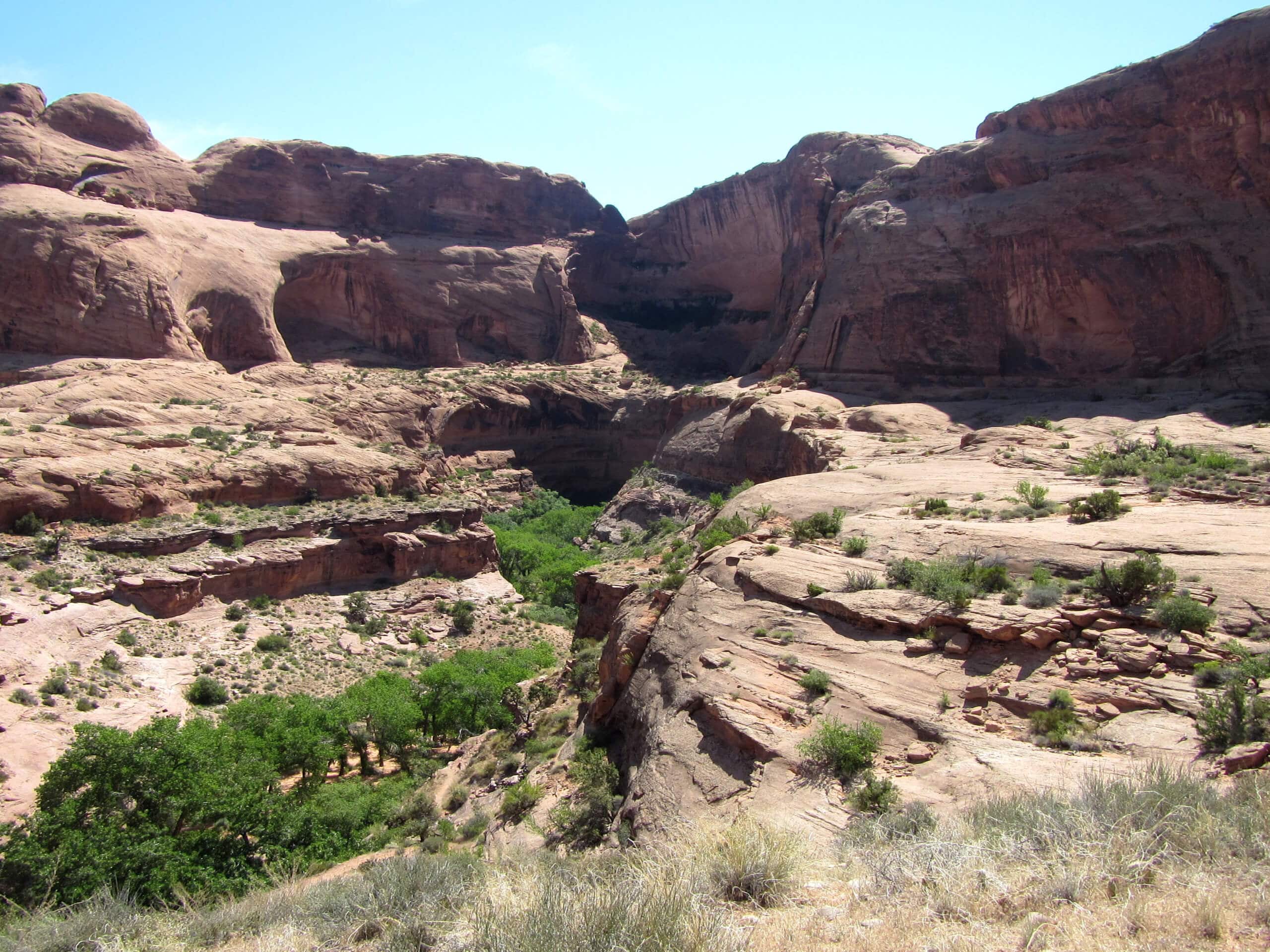 Moonflower Canyon Trail