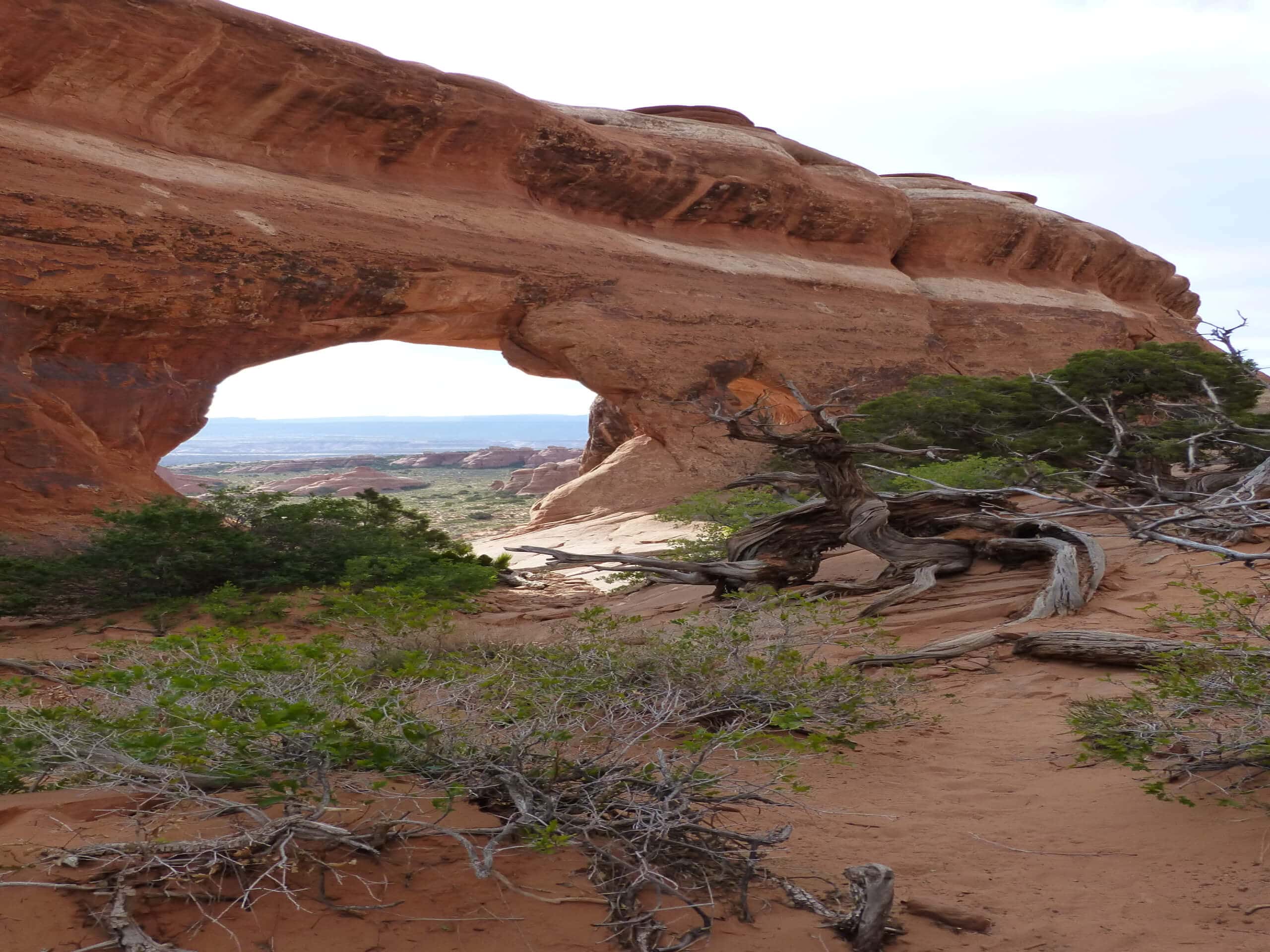 Navajo Arch Trail