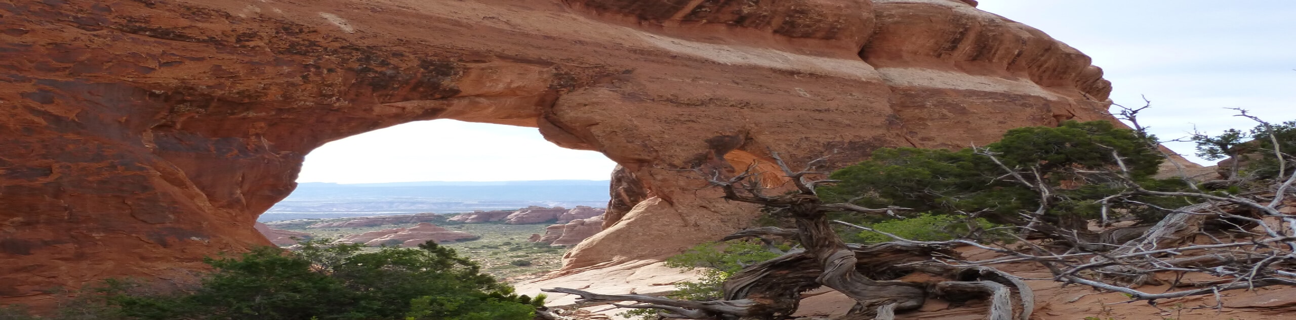 Navajo Arch Trail