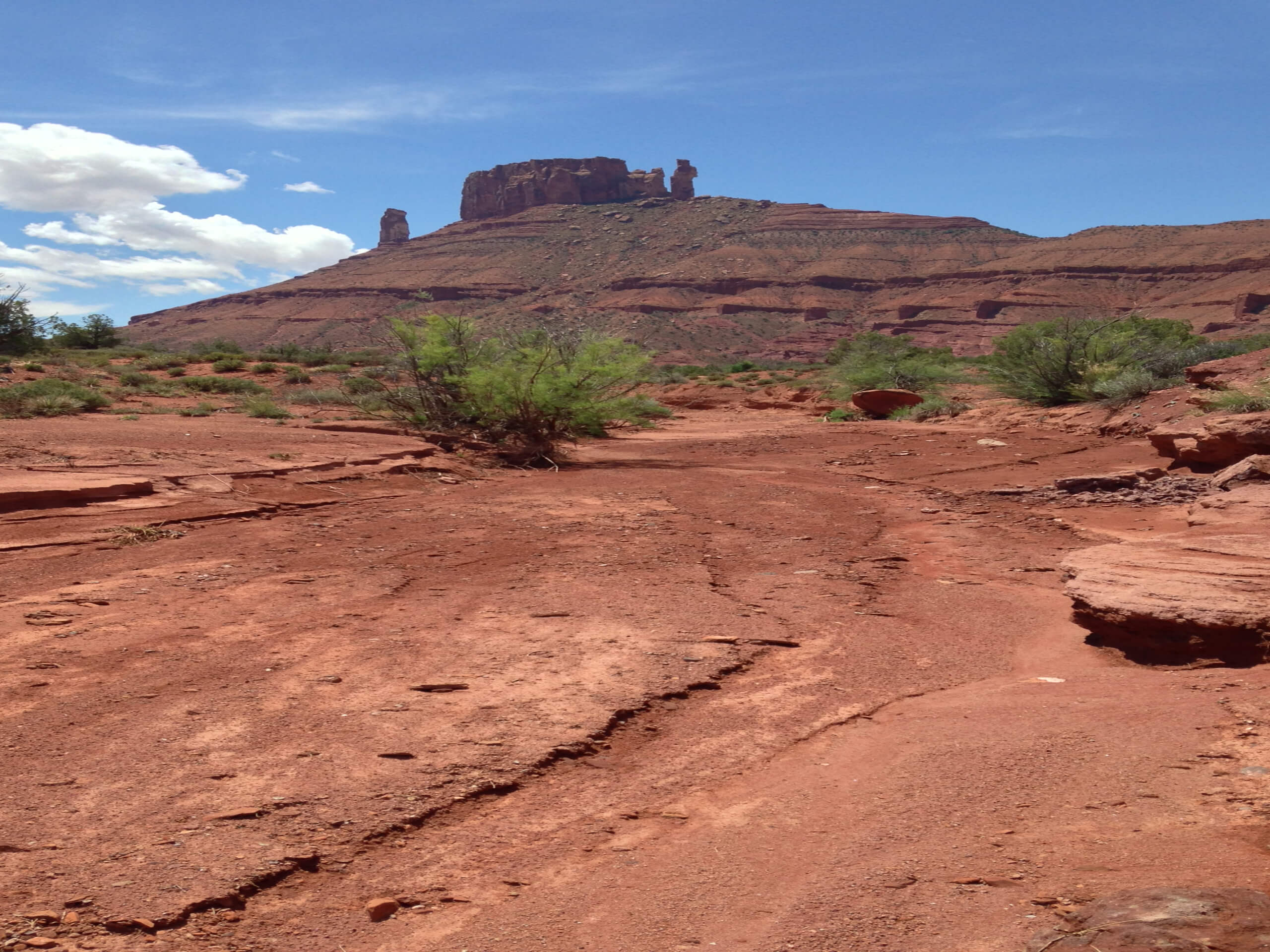 Professor Creek and Mary Jane Canyon Trail