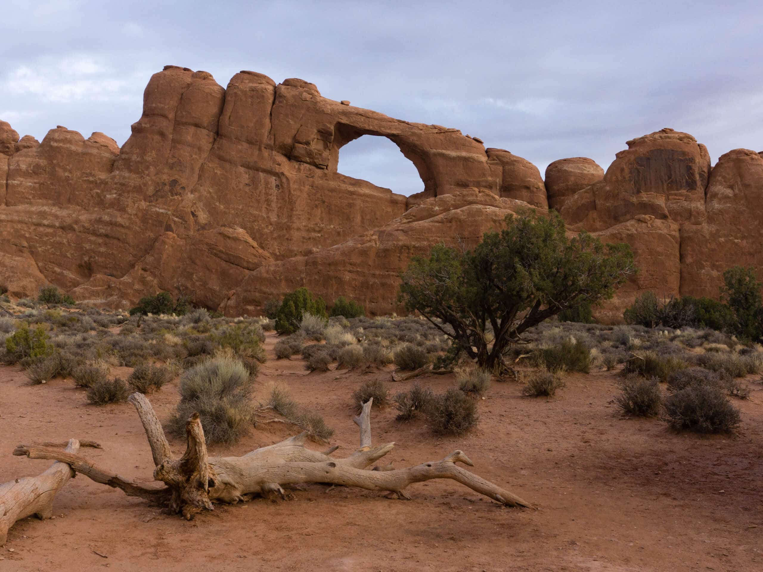 Tapestry Arch