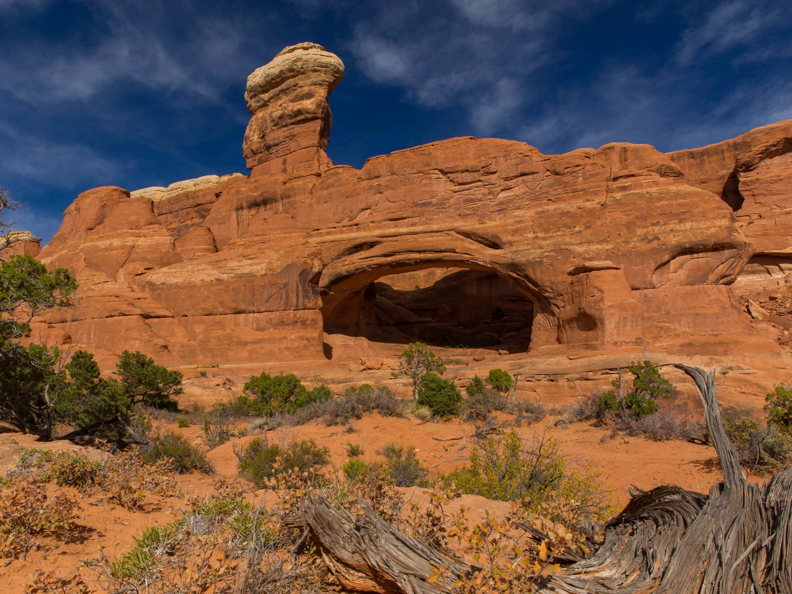 Tower Arch Trail