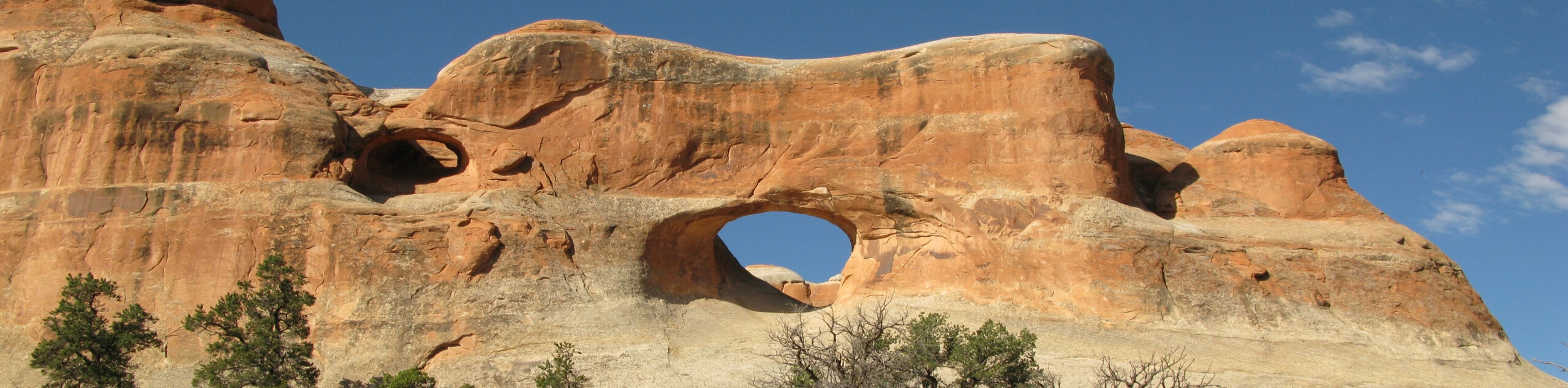 The Tunnel Arch and Pine Tree Arch Trail
