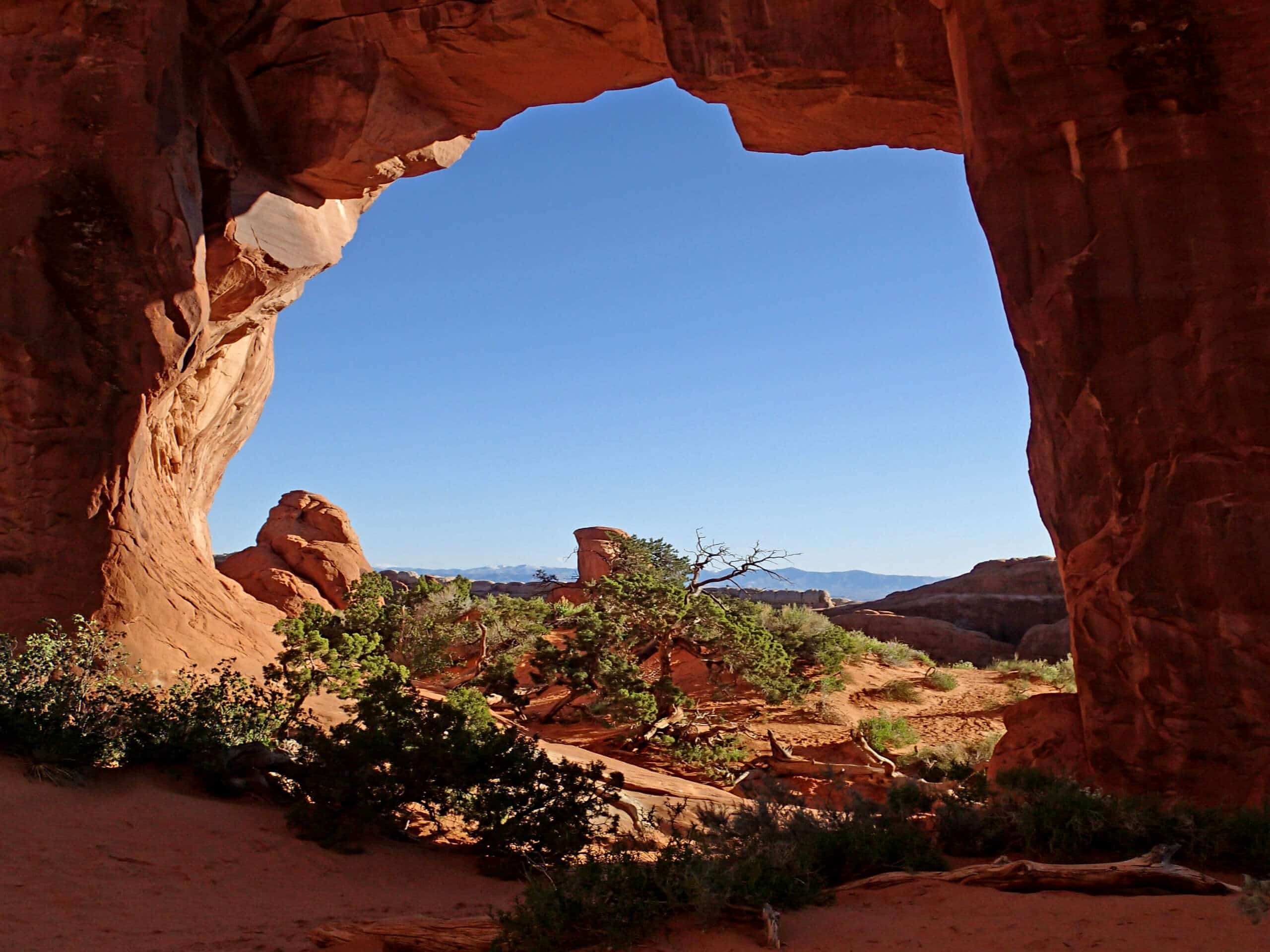 Wall Arch and Pine Tree Arch