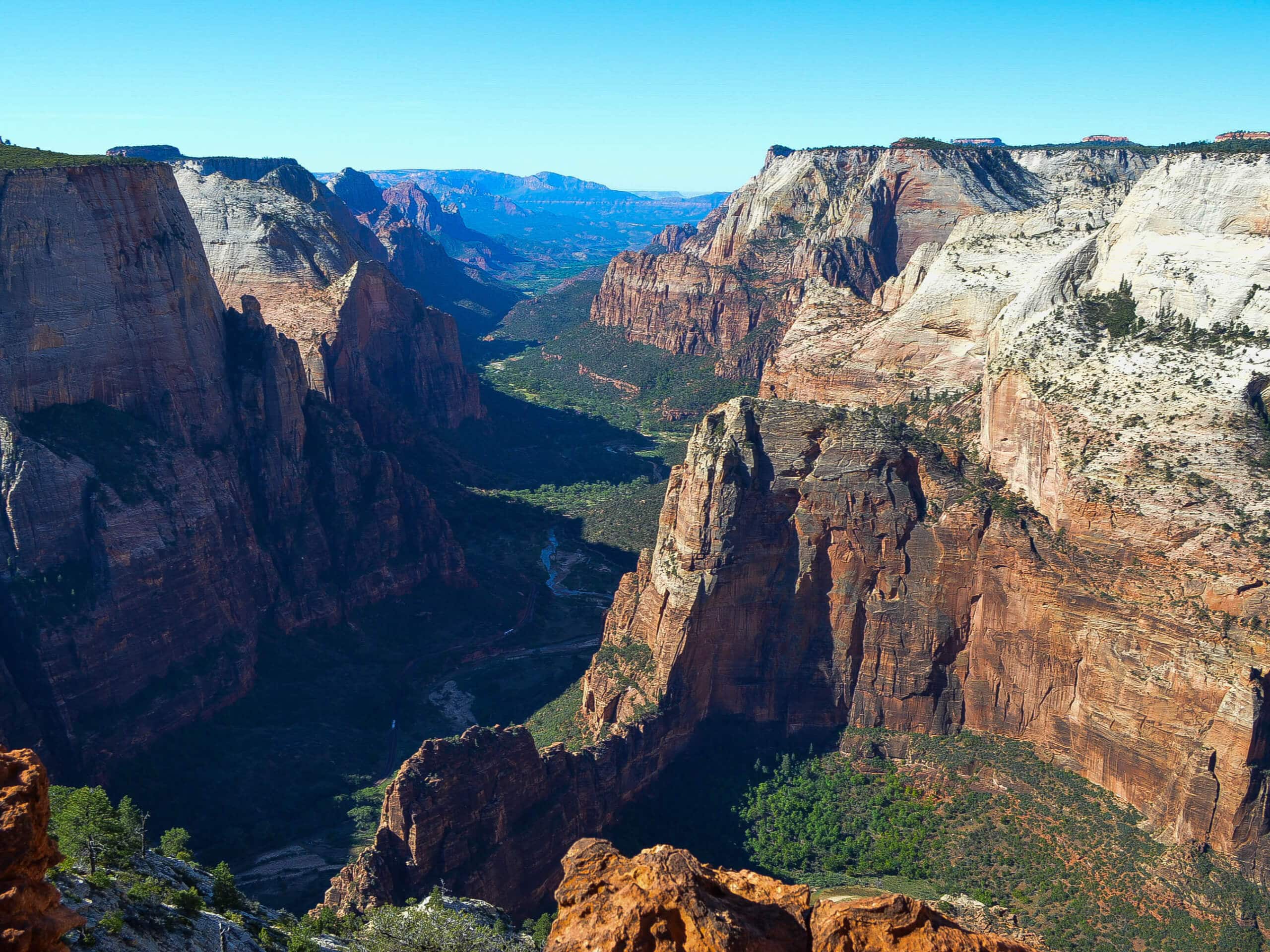 East Mesa Trail to East Rim Trail and Observation Point