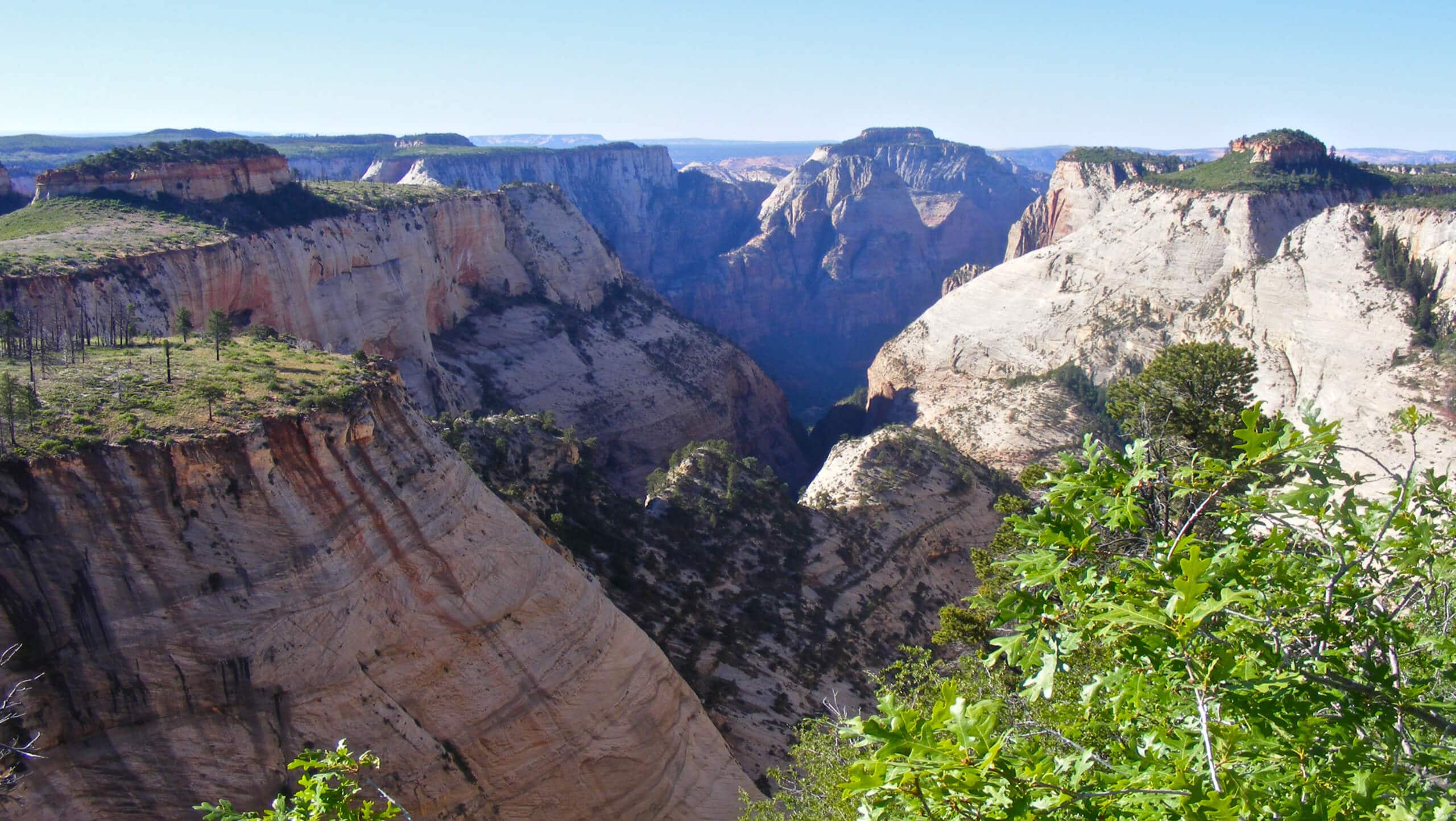 The West Rim Trail (Bottom-up)