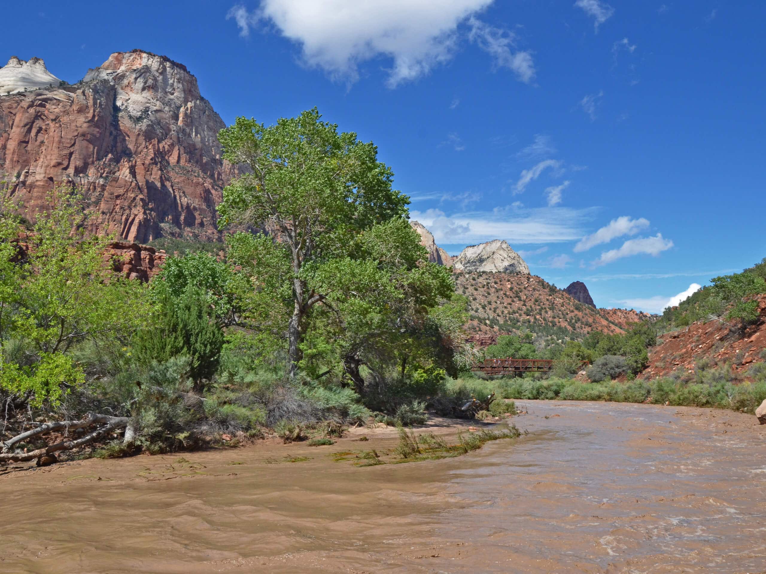 West Bank of the Virgin River Hike