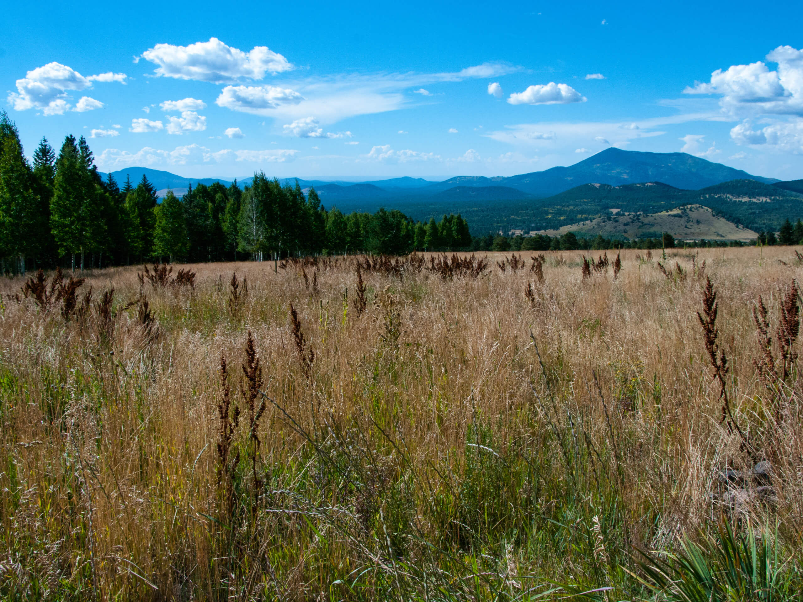 Aspen Nature Loop