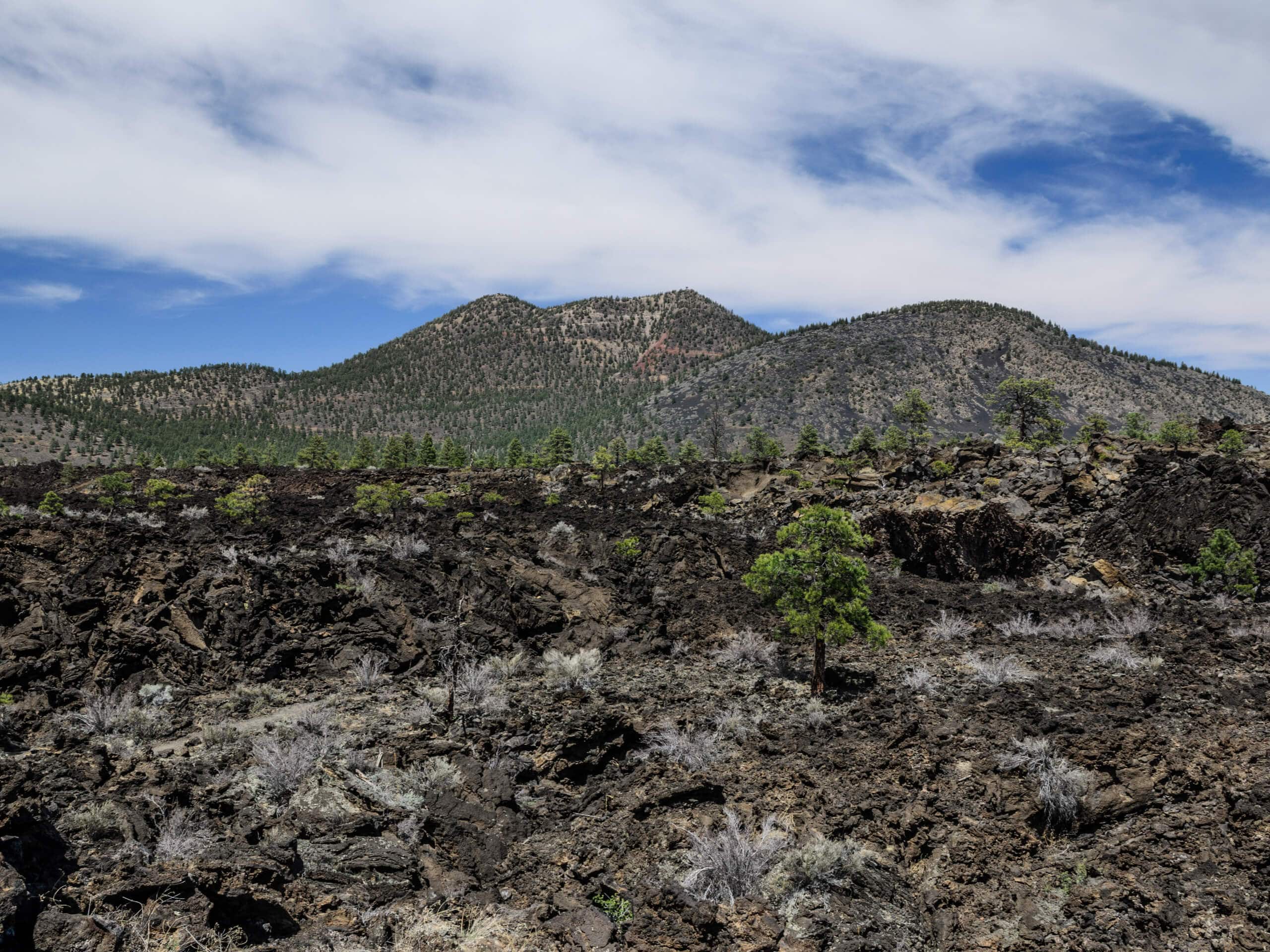 Bonito Vista Trail