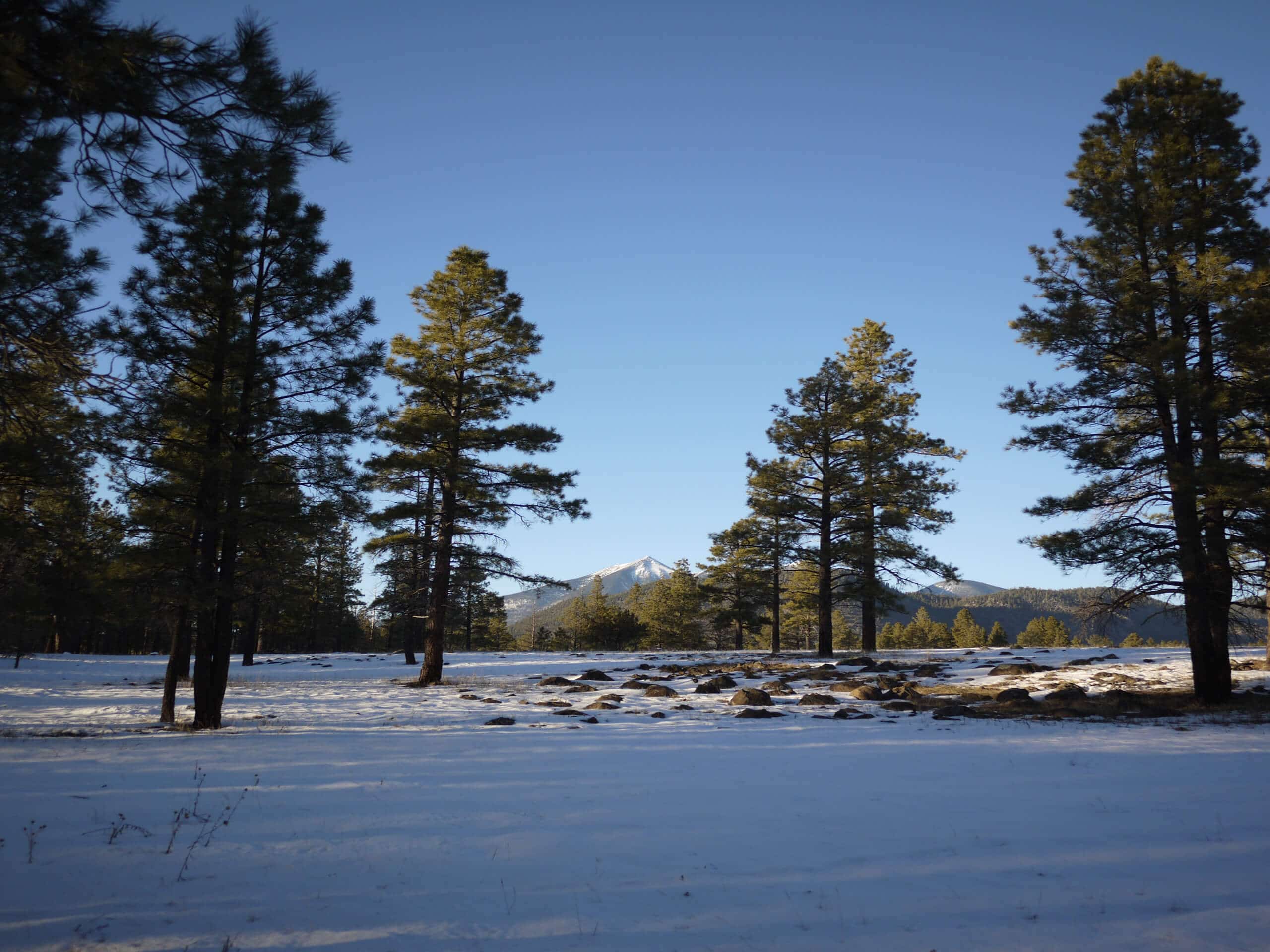 Buffalo Park to Paradise Spring Hike