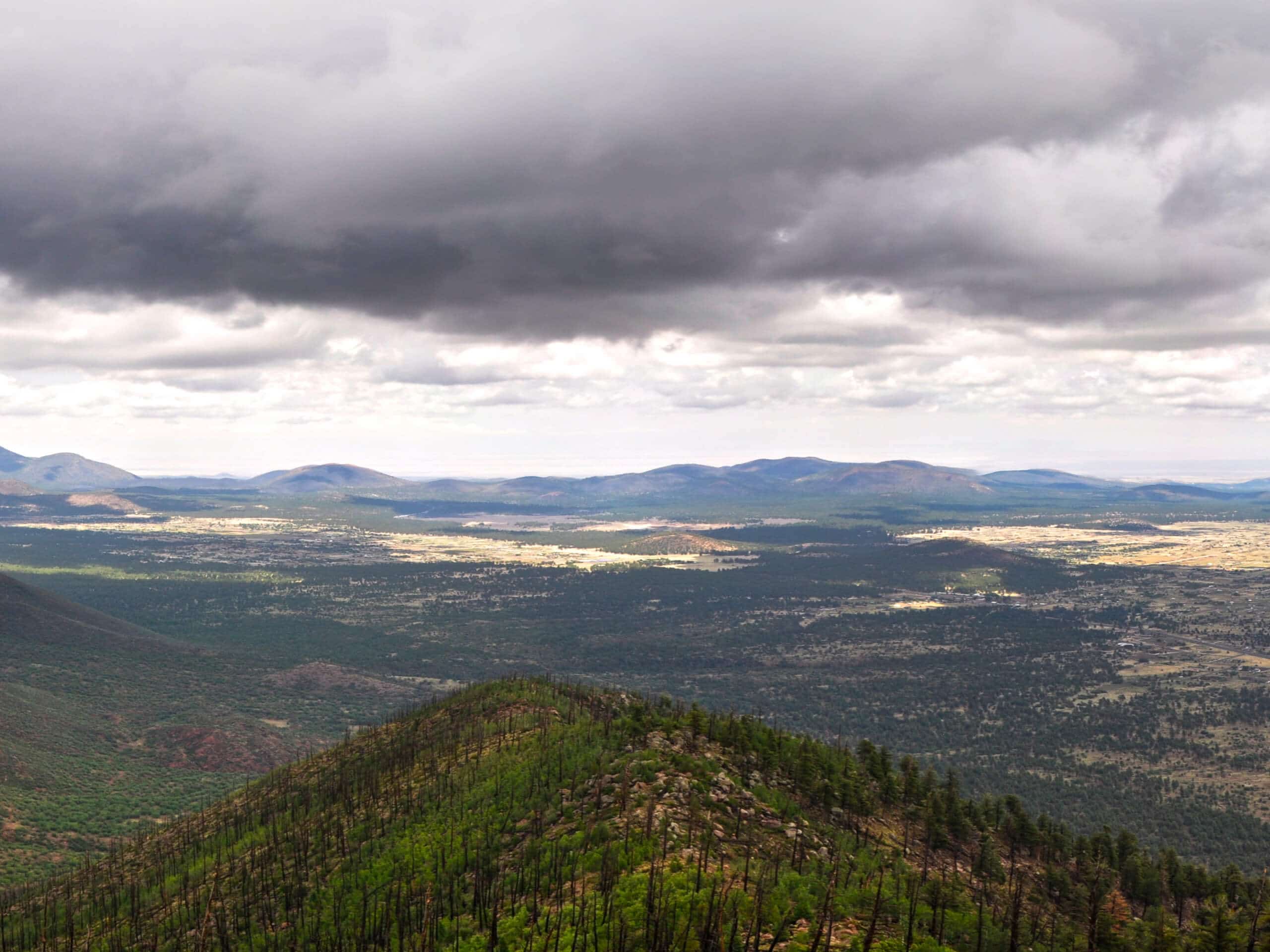 Elden Mountain via Upper Oldham Trail