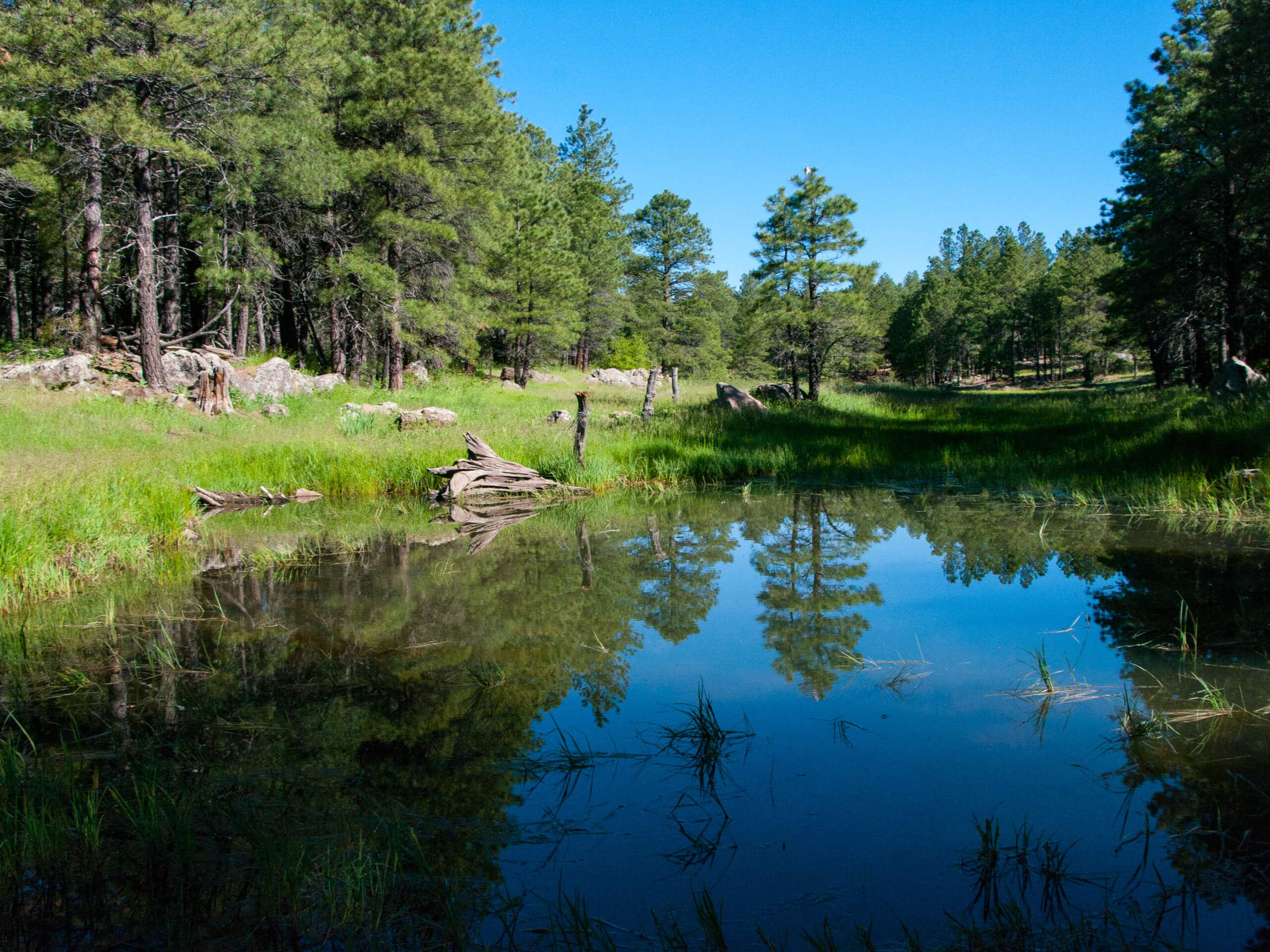 Griffith Spring Trail