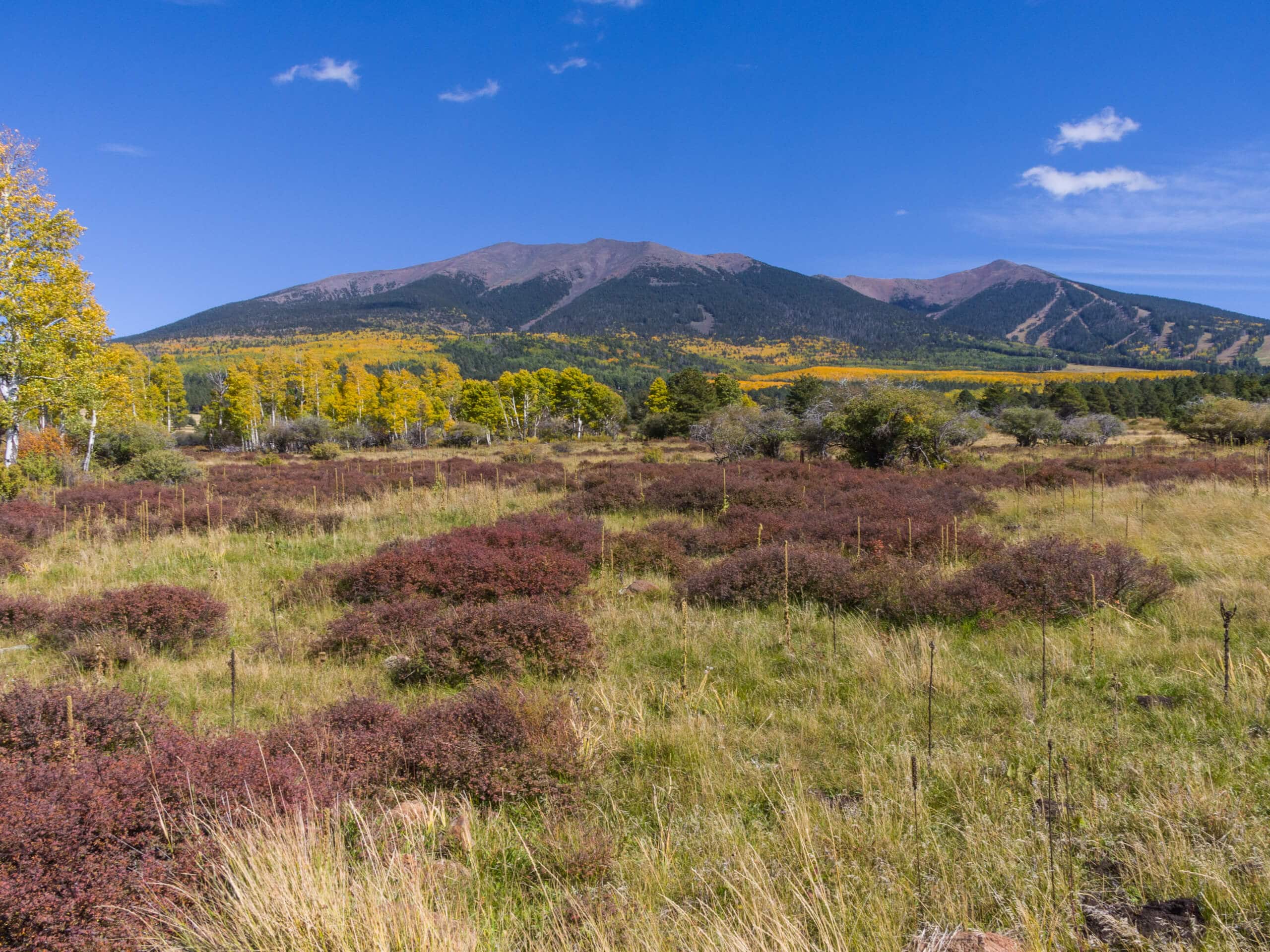 Hart Prairie Loop Trail