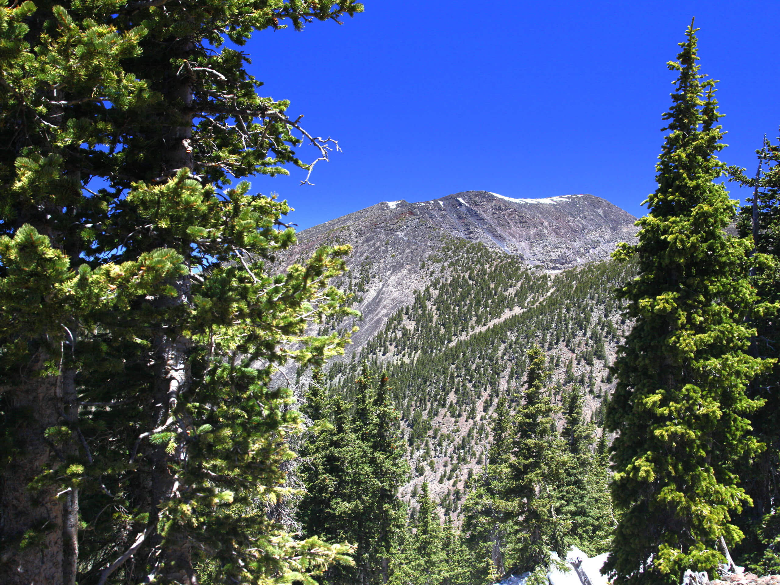 Humphrey's Peak via Inner Basin Trail