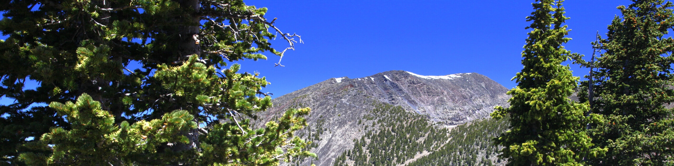 Humphrey's Peak via Inner Basin Trail