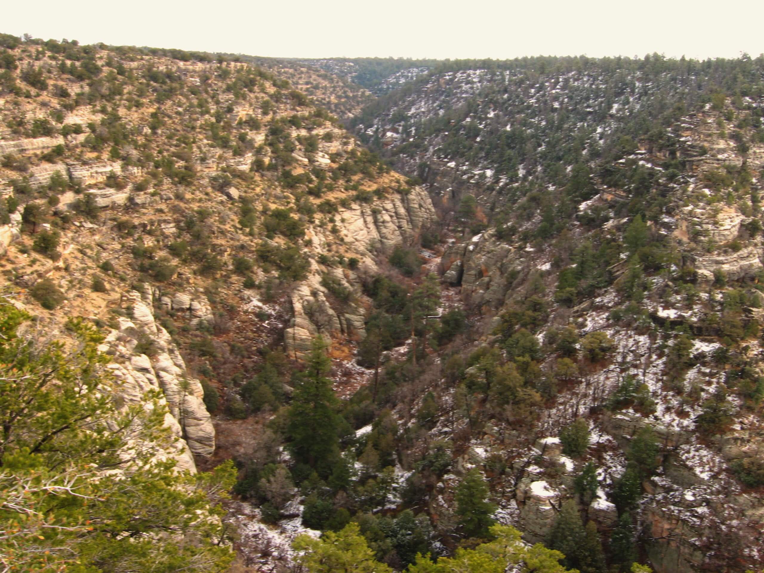 Island Trail and Walnut Canyon Loop