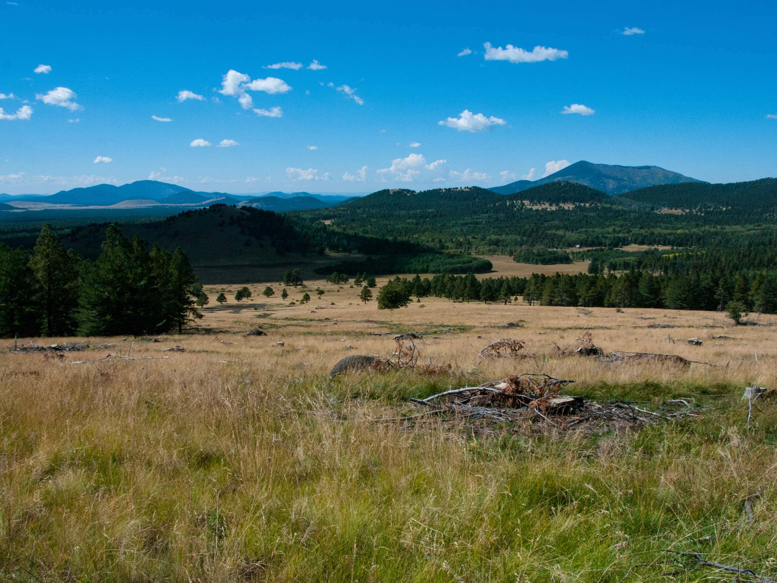 Kachina Wetlands Hike