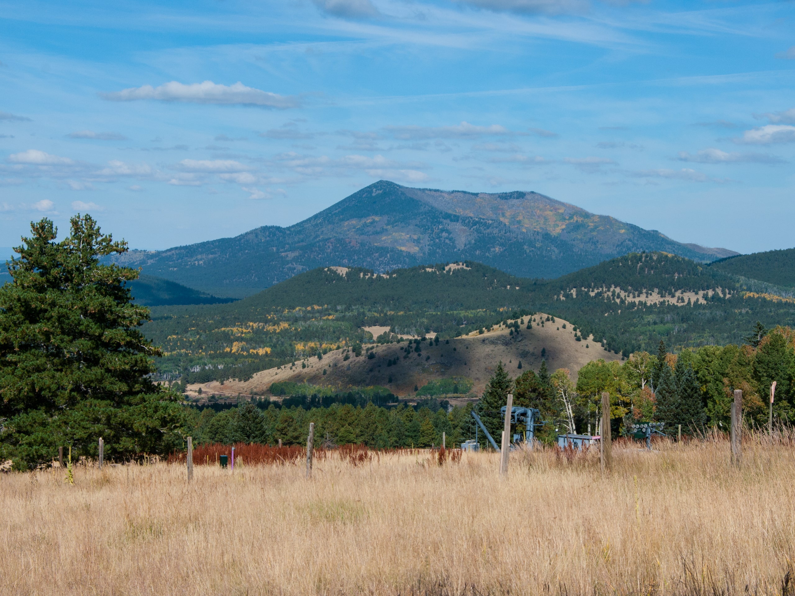 Kendrick Peak Trail