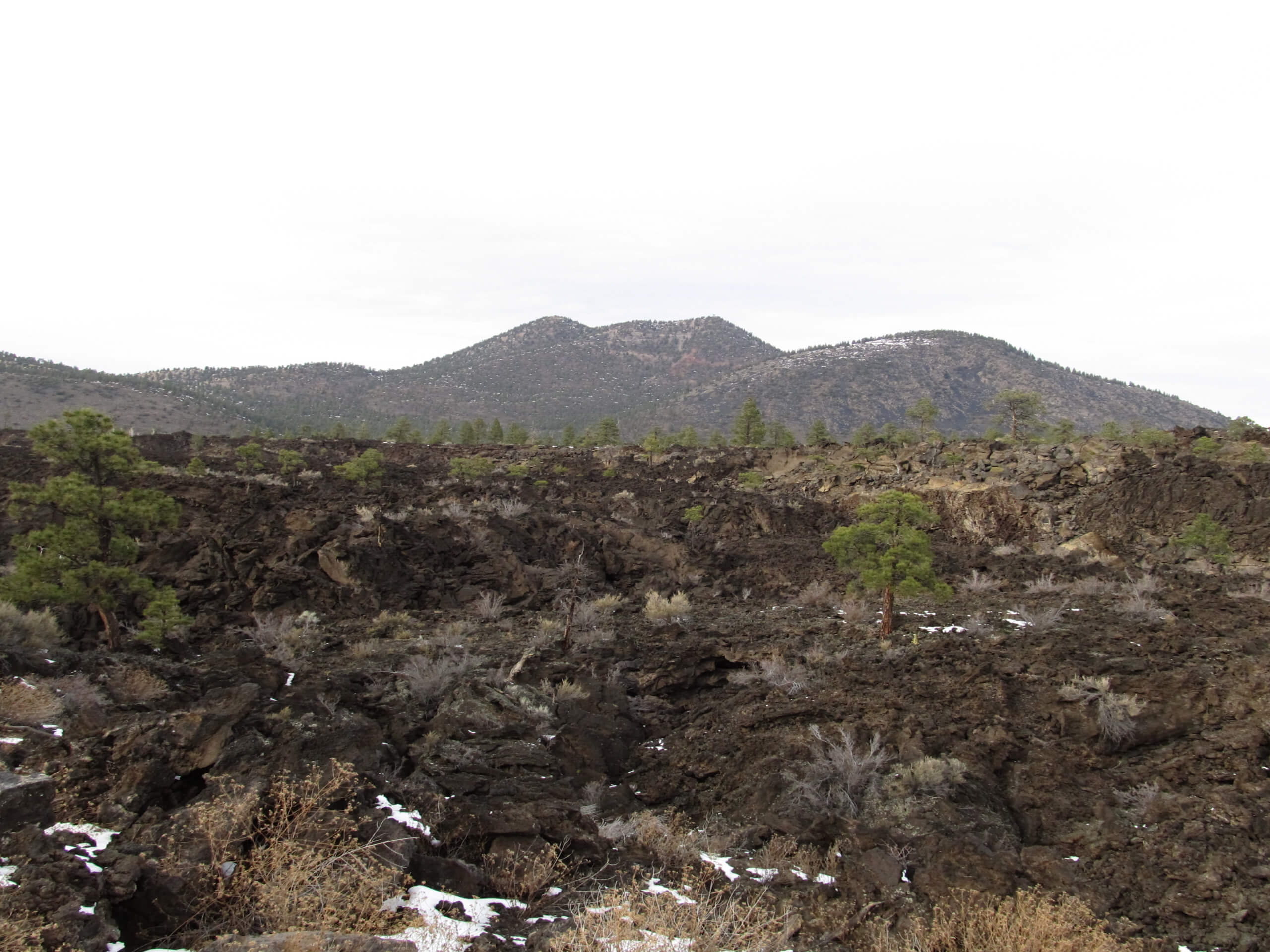 Lava's Edge Trail