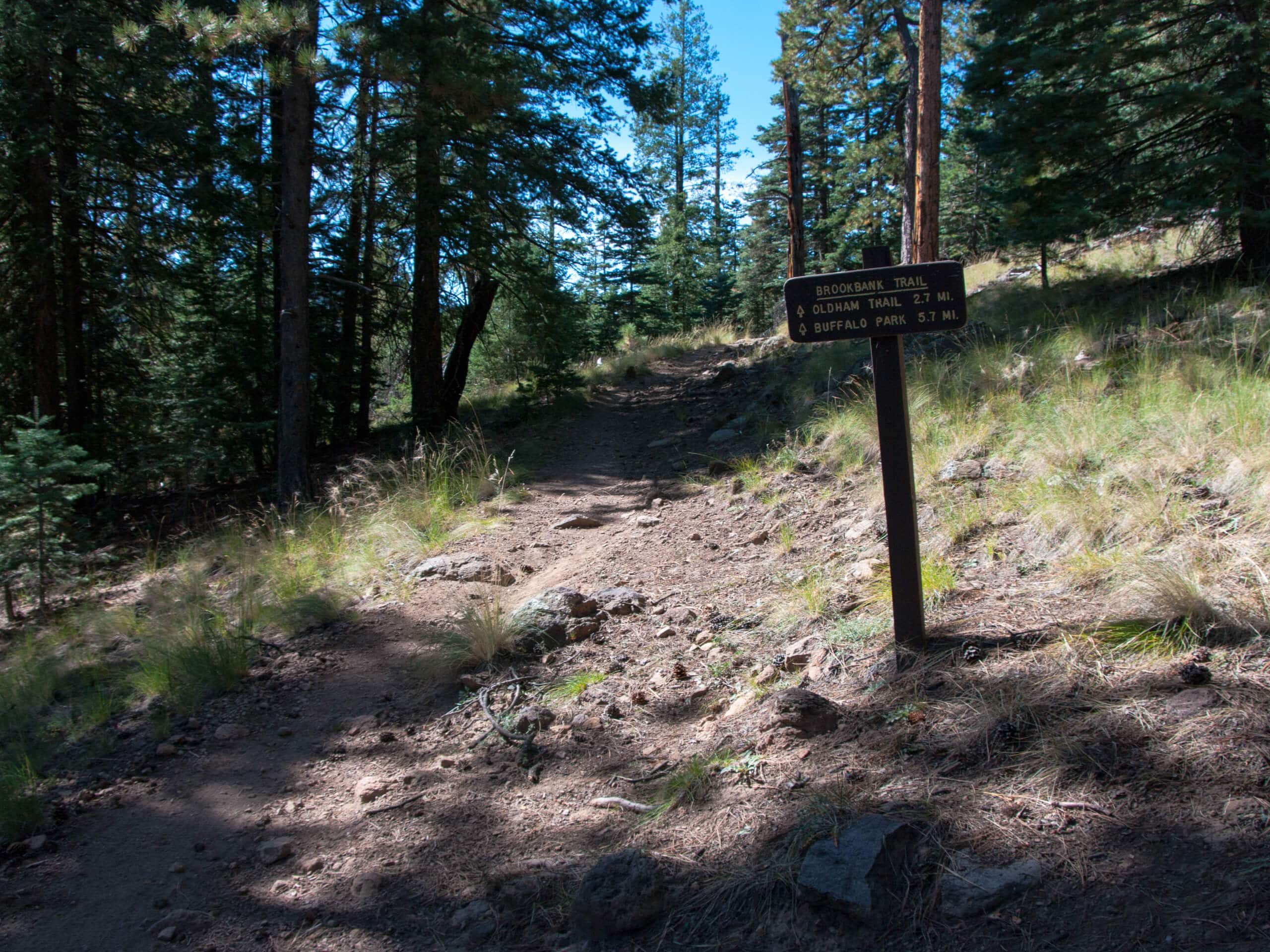 Lower Brookbank, Upper Brookbank, Upper Red Onion Loop