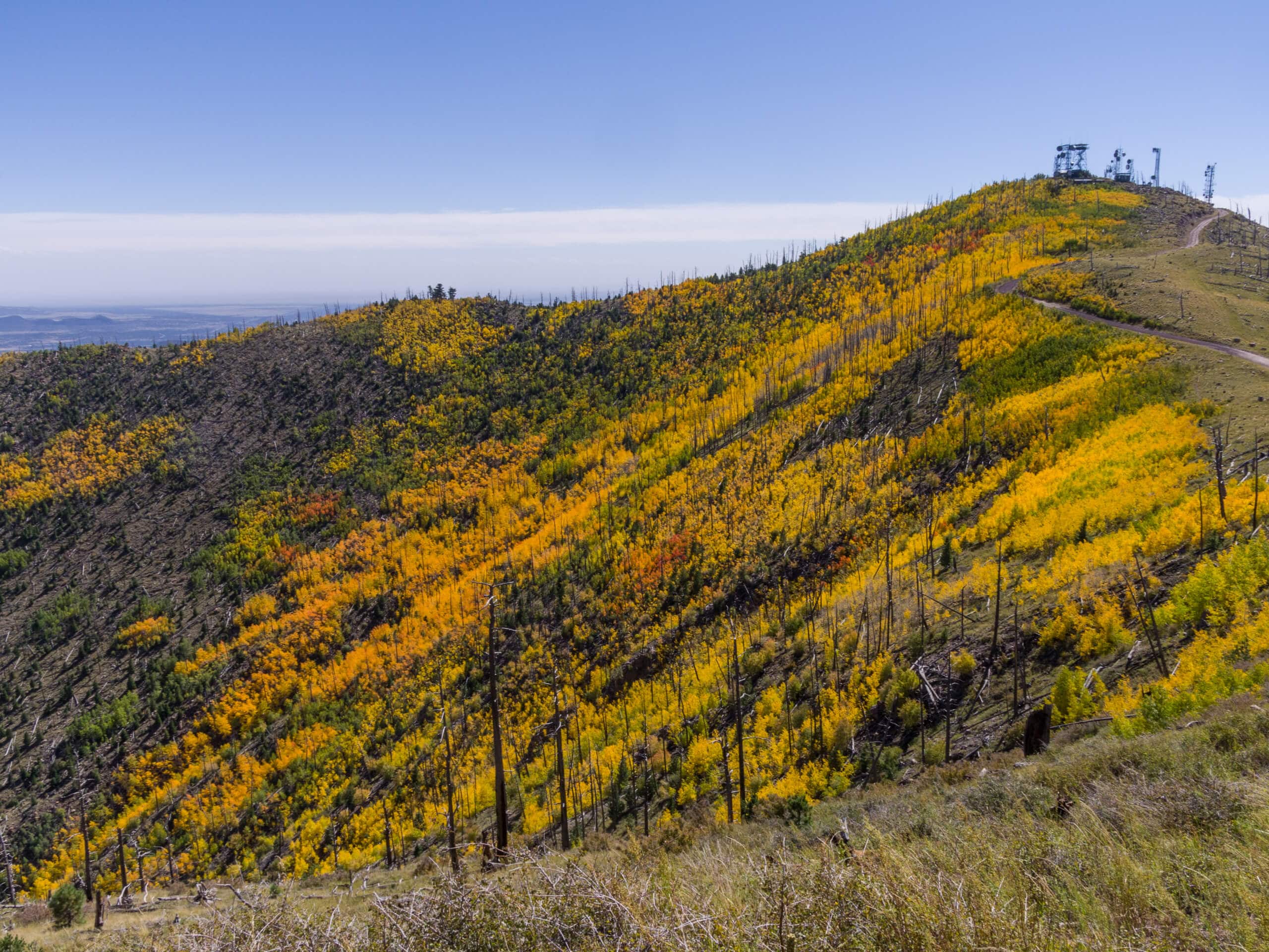 Sandy Seep Trail